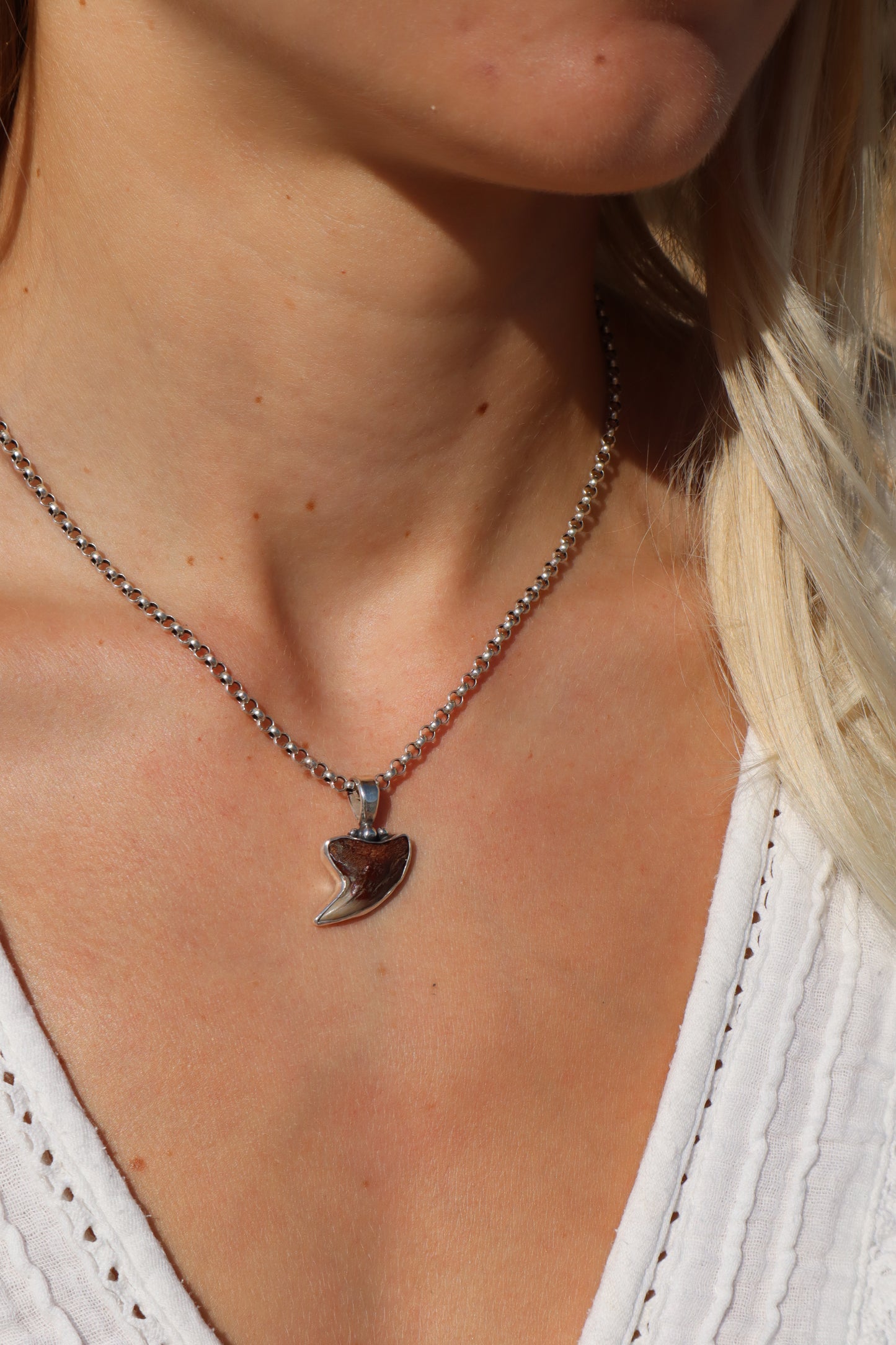 Fossilised Shark Tooth Pendant