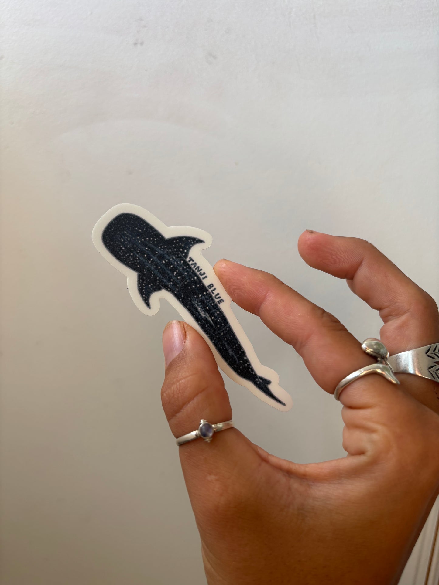 Whale Shark Sticker