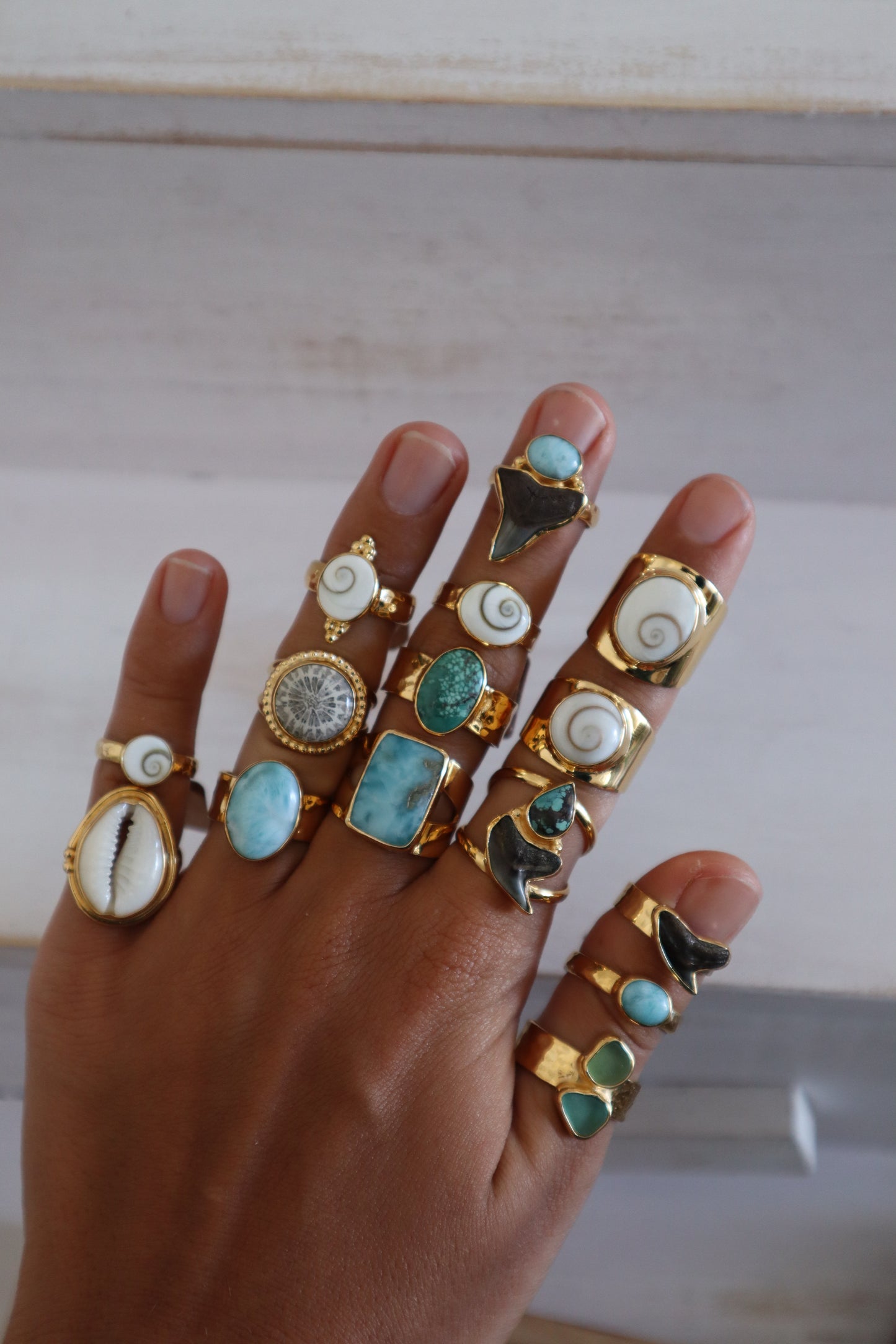 Fossilised Shark Tooth x Larimar Ring SIZE 7 - N 1/2