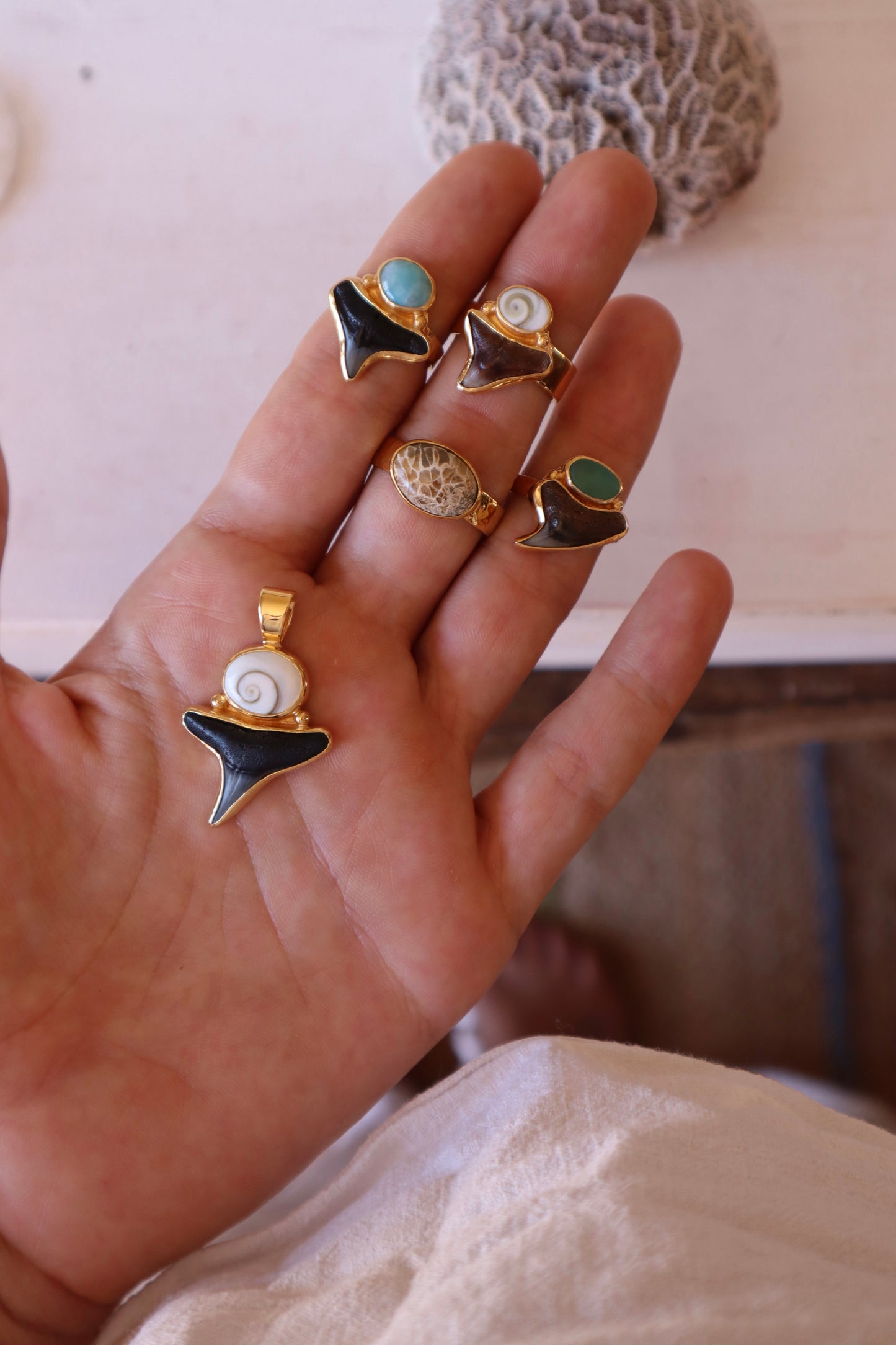 Operculum x Fossilised Shark Tooth Pendant
