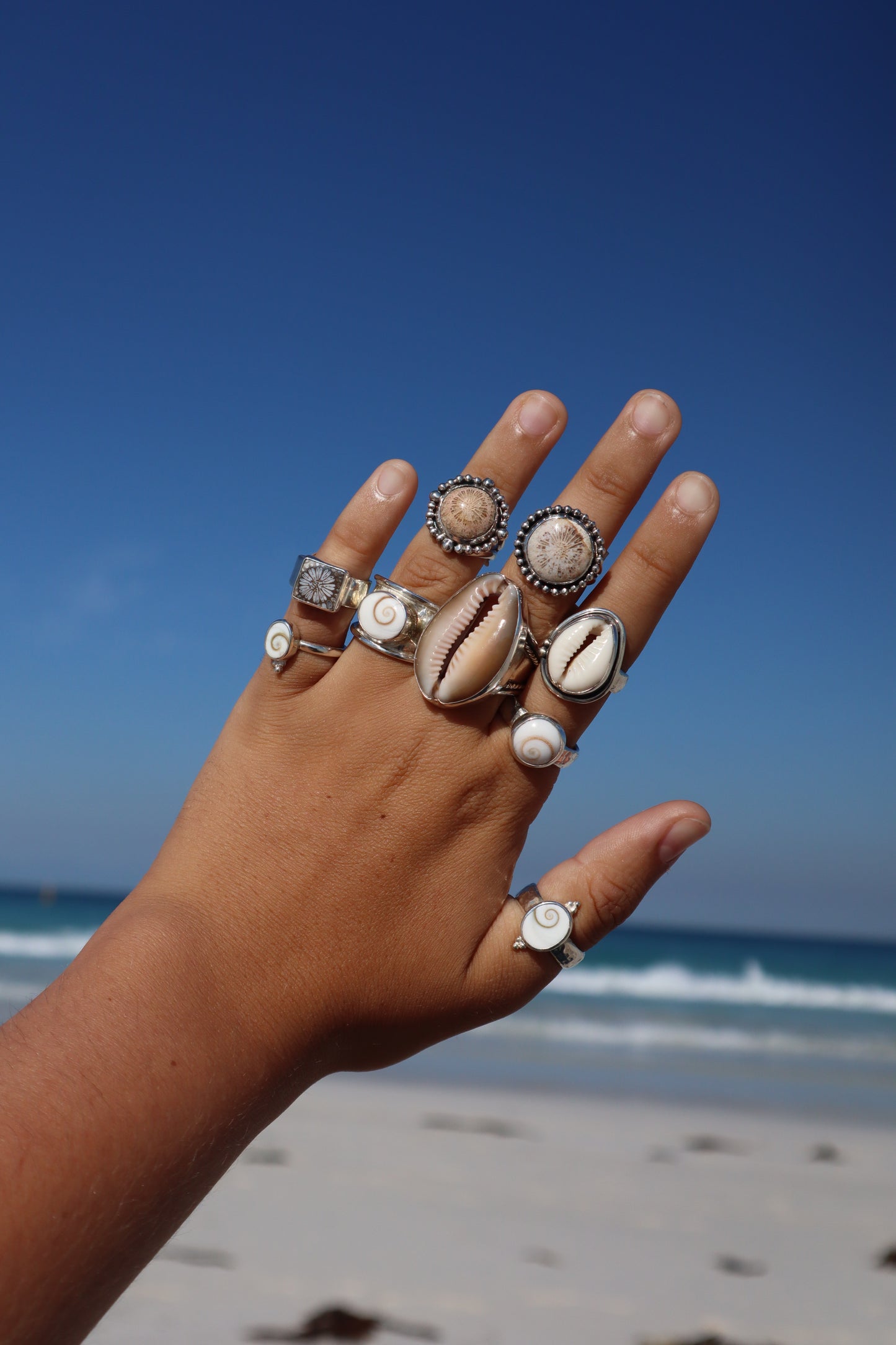 Operculum Angel Ring