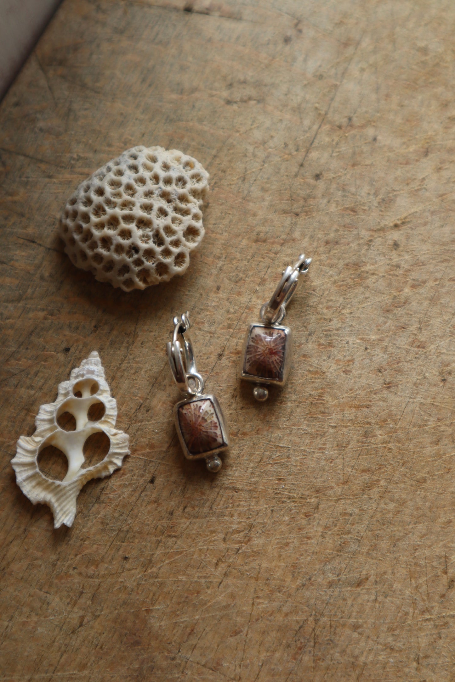 Fossilised Coral Hoops