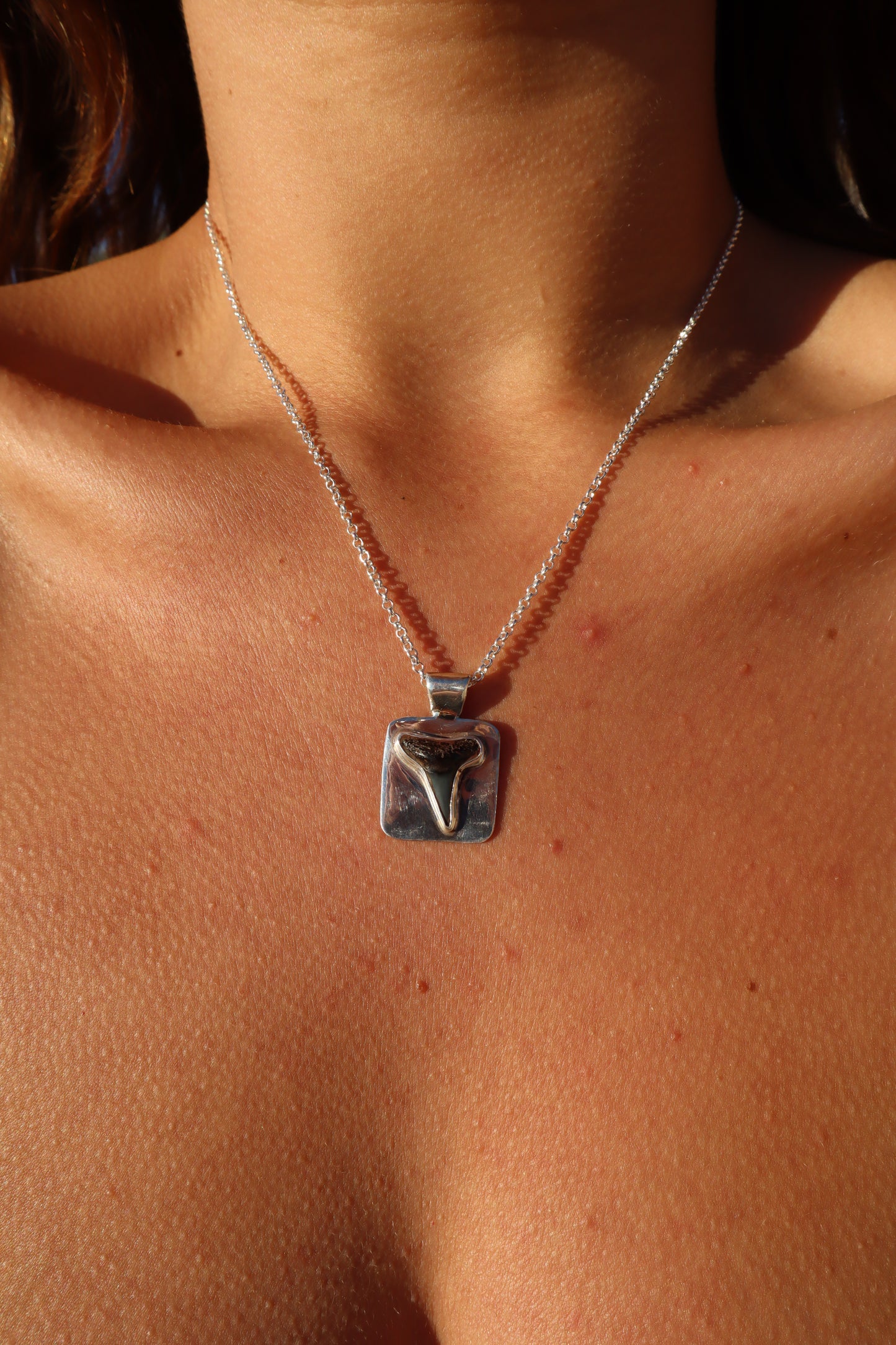 Shark Tooth Frame Pendant