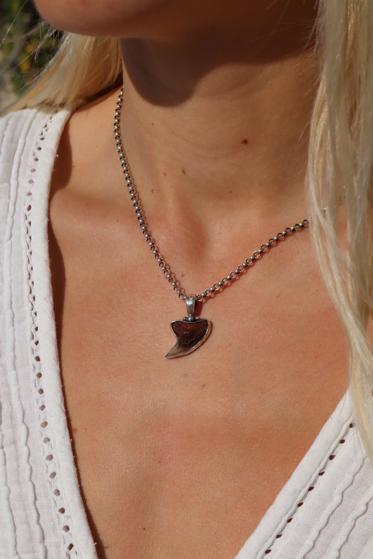 Fossilised Shark Tooth Pendant