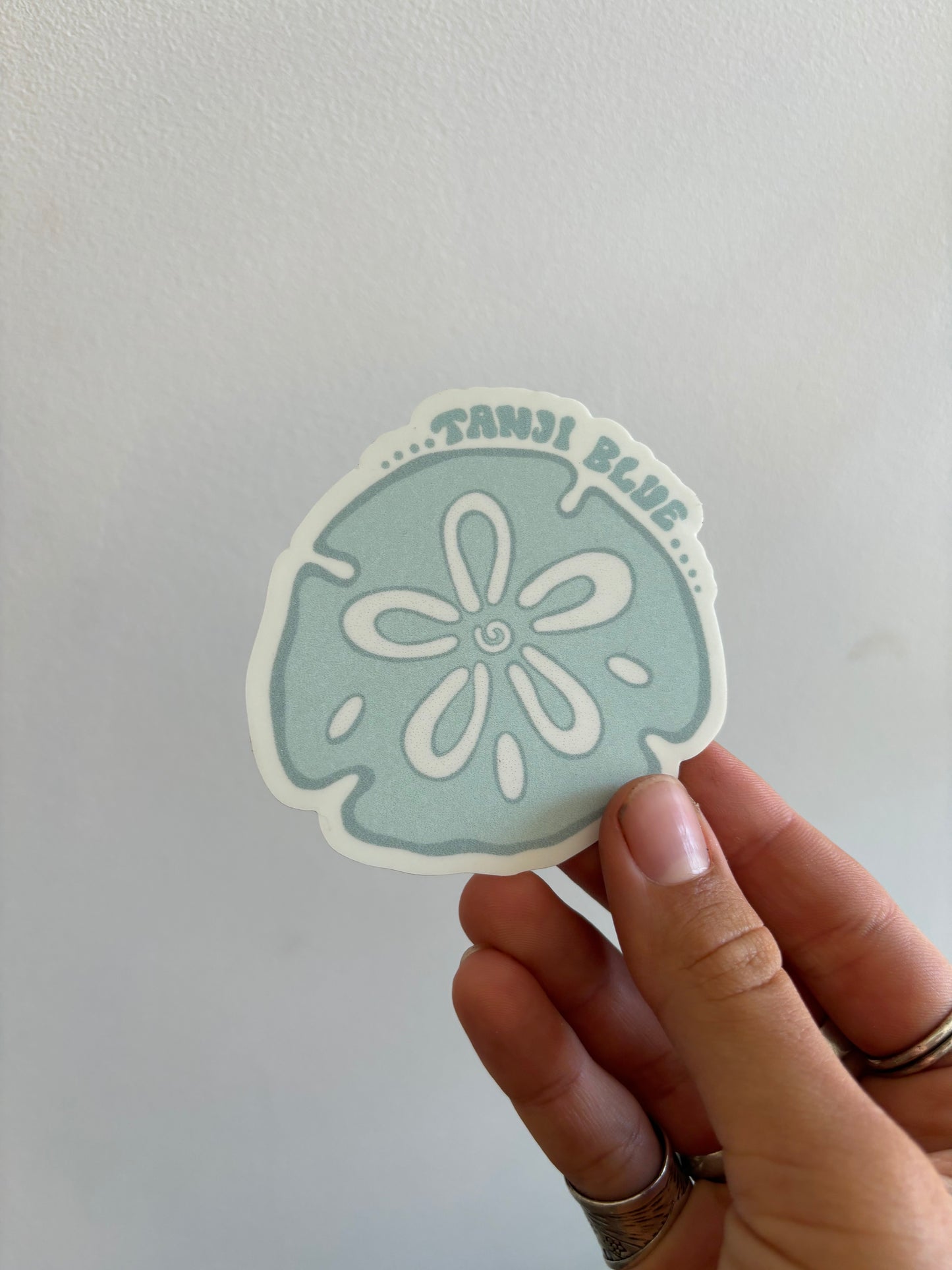 Sand Dollar Sticker
