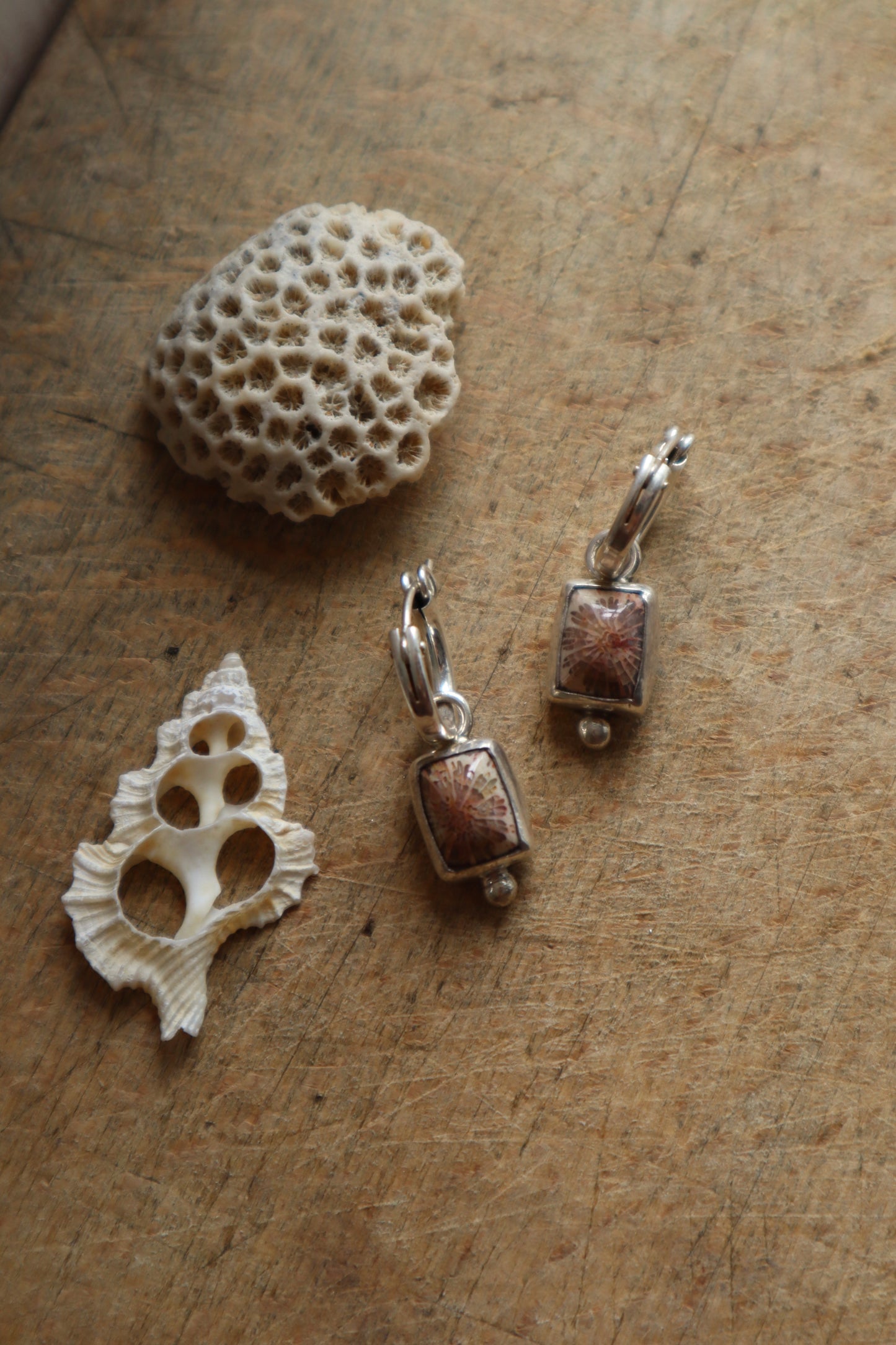 Fossilised Coral Hoops