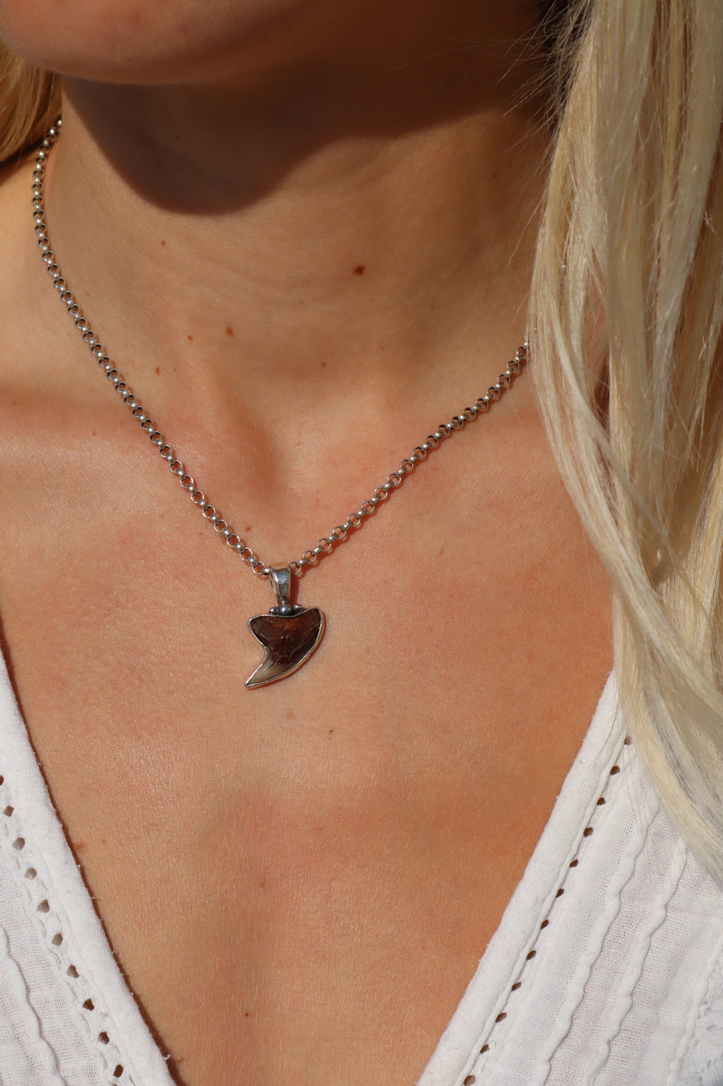 Fossilised Shark Tooth Pendant