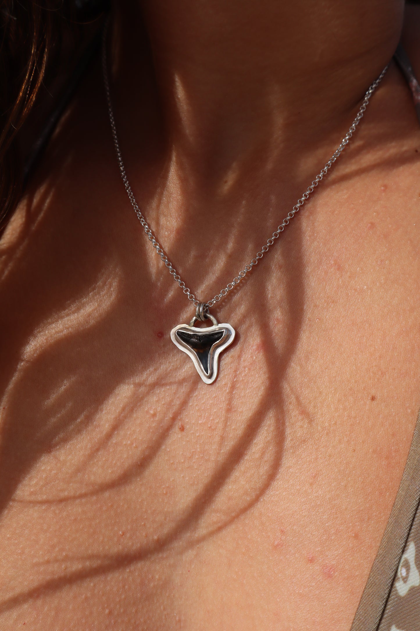 Shark Tooth Frame Pendant