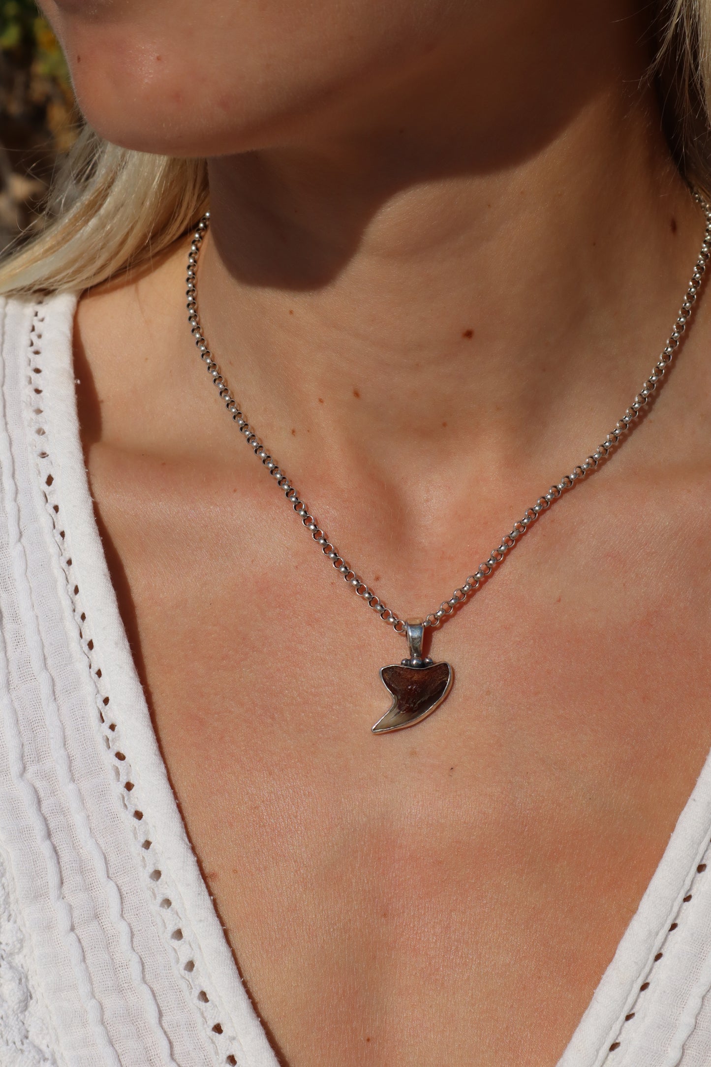 Fossilised Shark Tooth Pendant