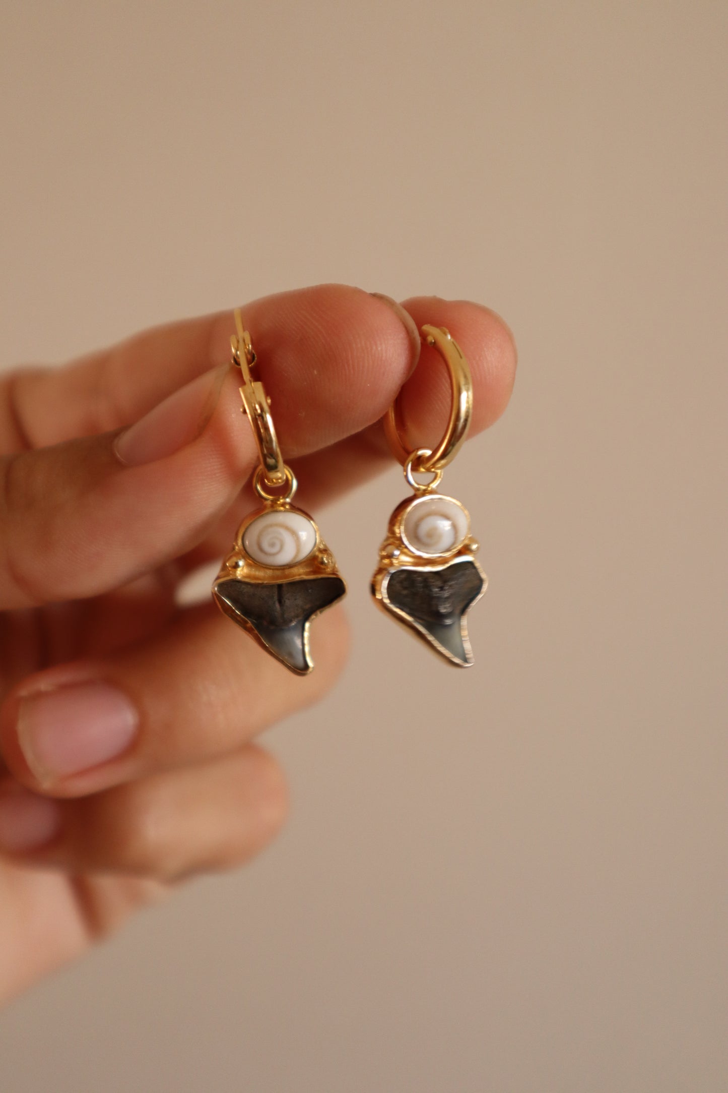 Shark Tooth x Operculum Hoops