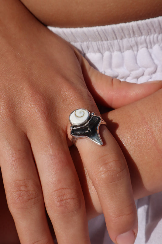 Shark Tooth x Operculum Ring SIZE R - 8 3/4