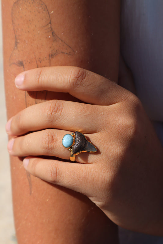 Fossilised Shark Tooth x Larimar Ring SIZE 7 - N 1/2