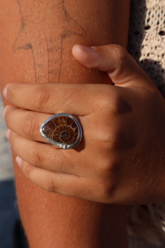 Chunky Ammonite Ring SIZE V - 10 3/4