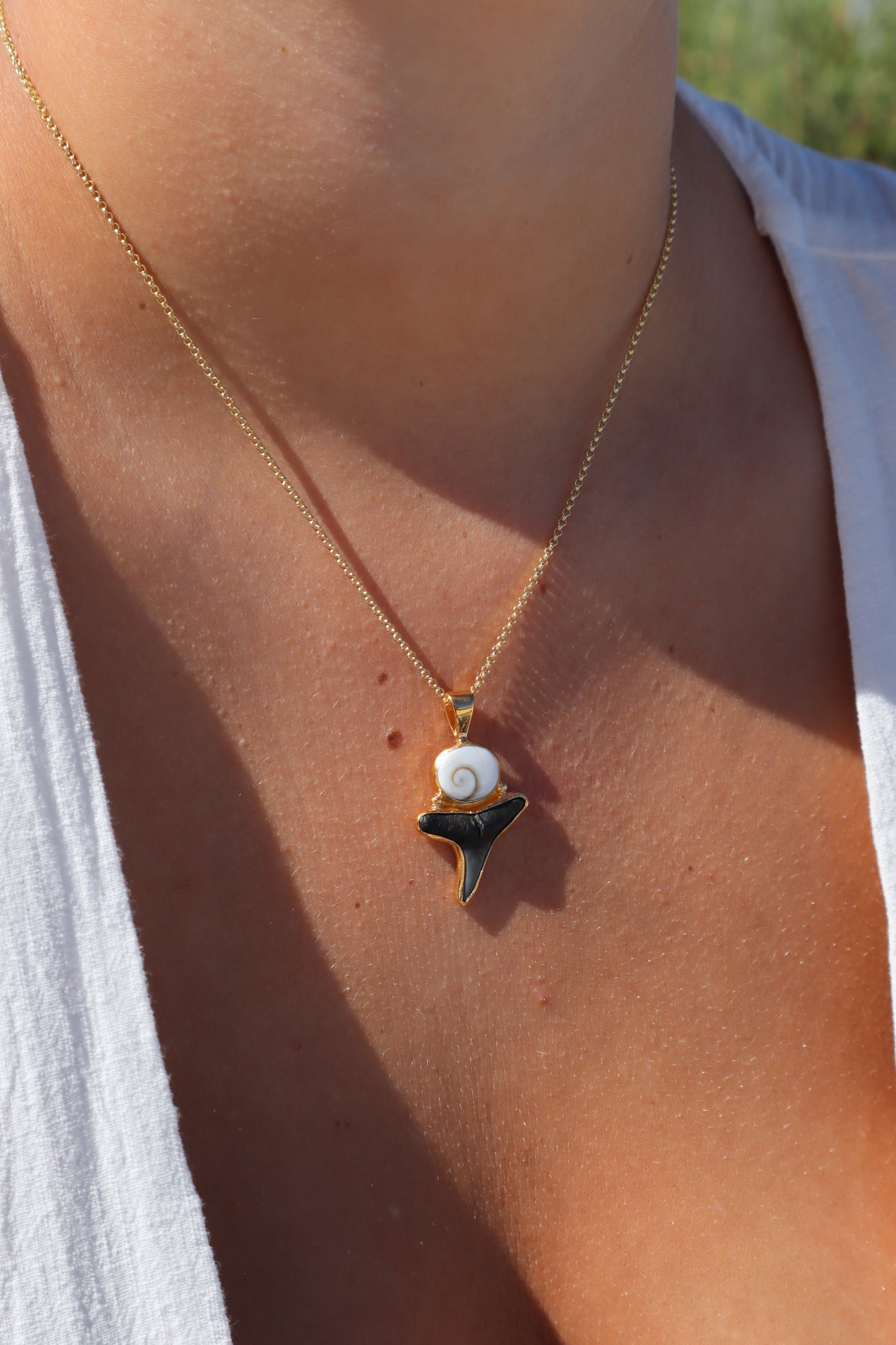 Operculum x Fossilised Shark Tooth Pendant