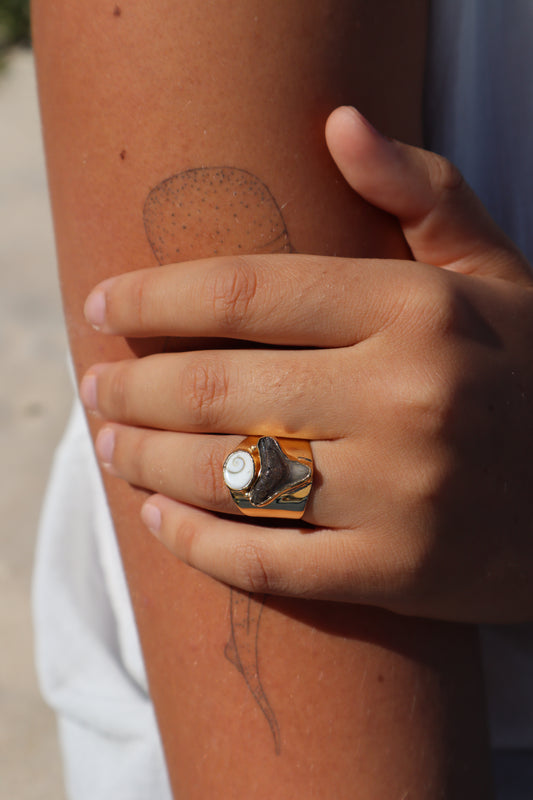 Chunky Operculum x Fossilised Shark Tooth Ring SIZE 6 - L 1/2