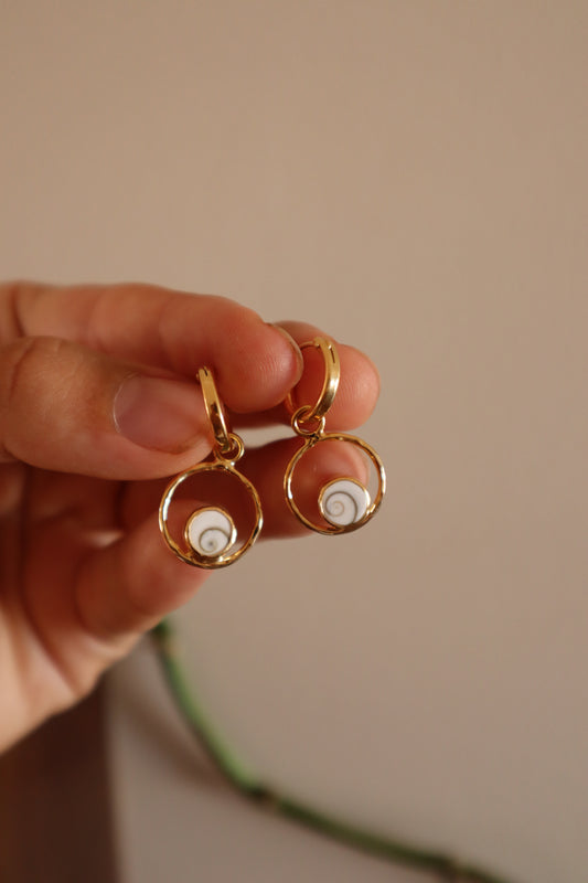Operculum Hoops