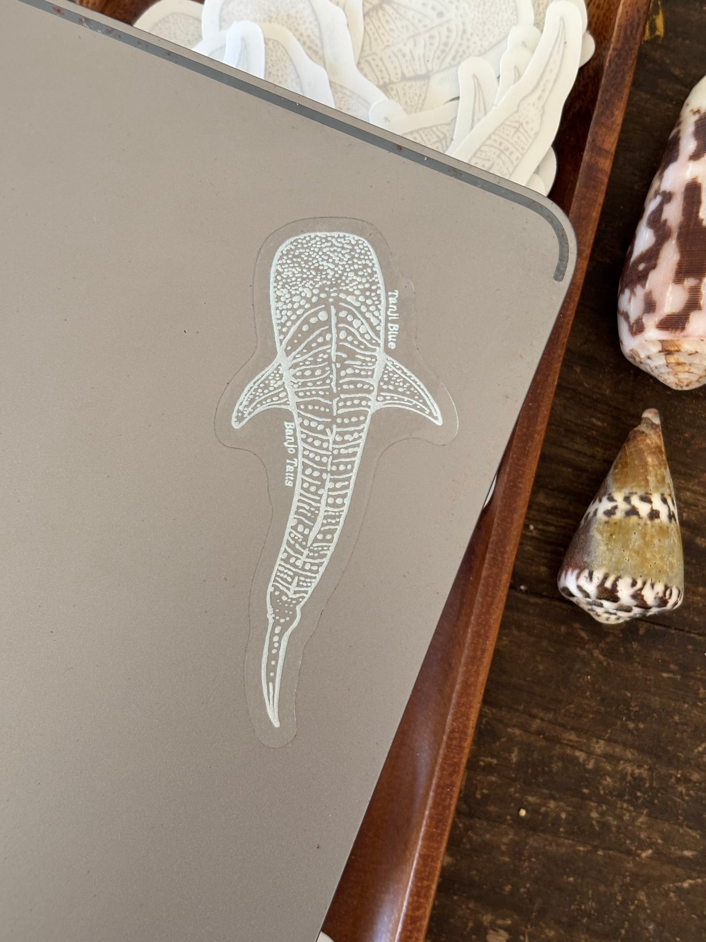 Clear Whale Shark Sticker