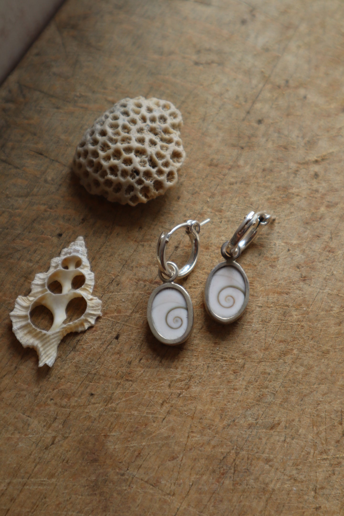 Reversible Operculum Hoops