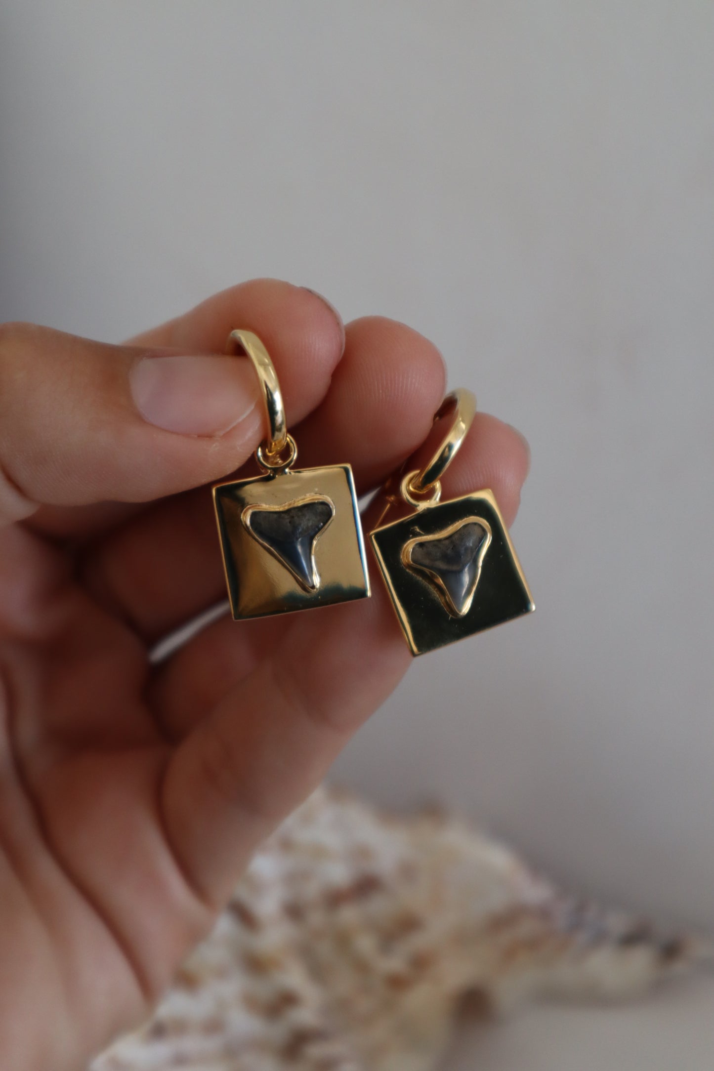Shark Tooth Frame Earrings