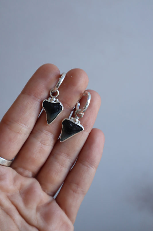 Shark Tooth Earrings