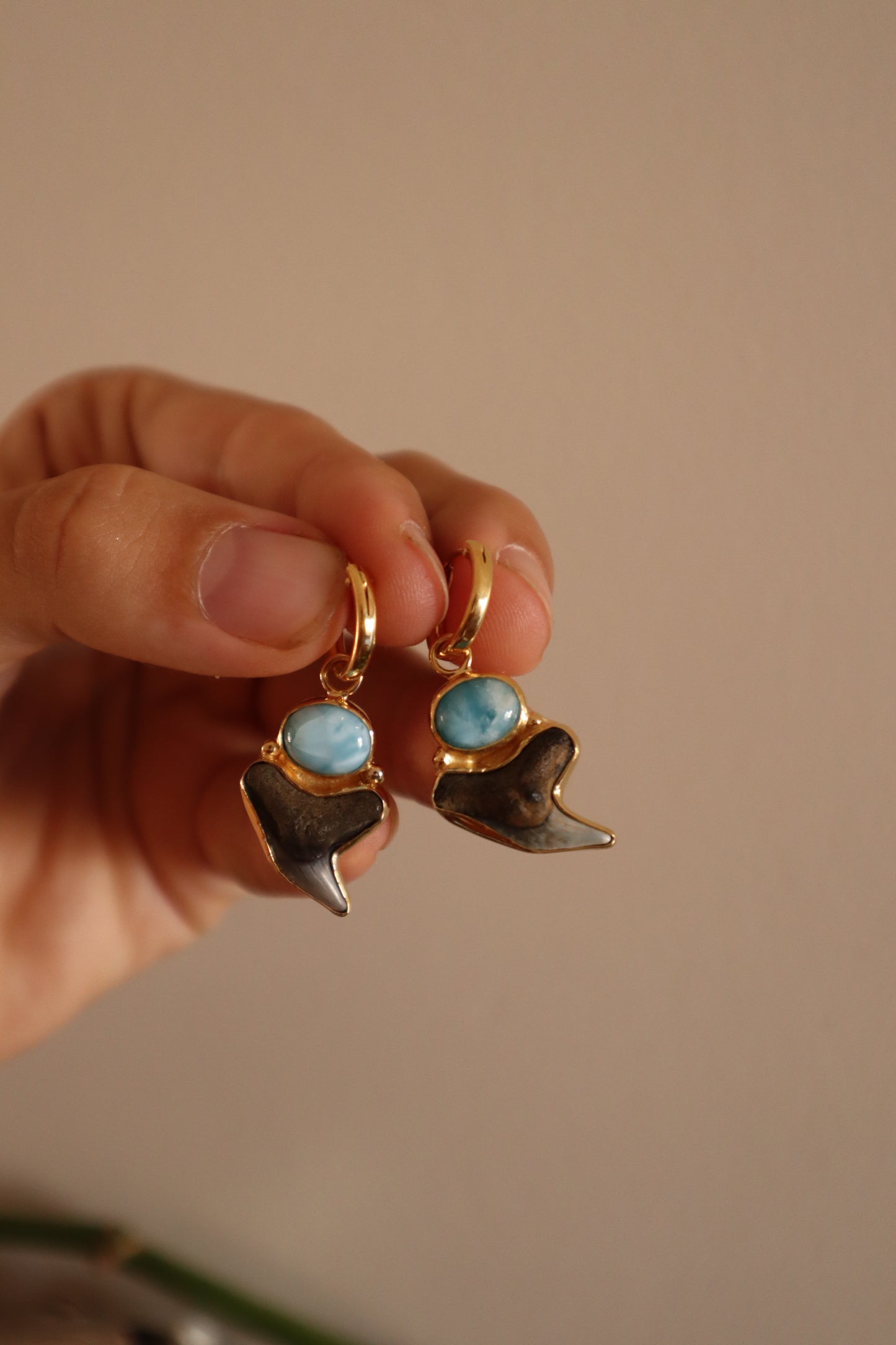 Shark Tooth x Larimar Hoops