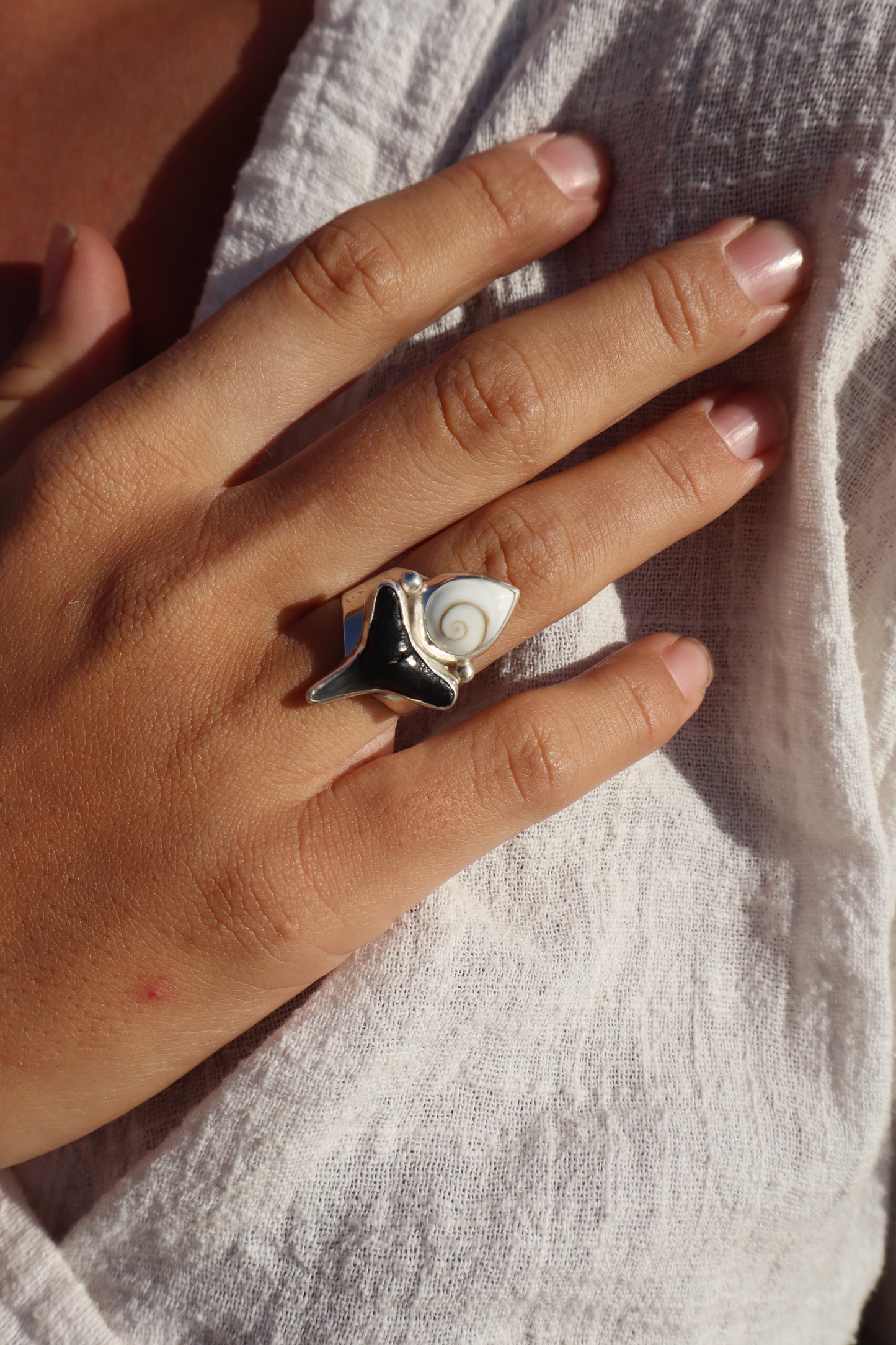 Shark Tooth x Operculum Ring SIZE M - 6 1/4