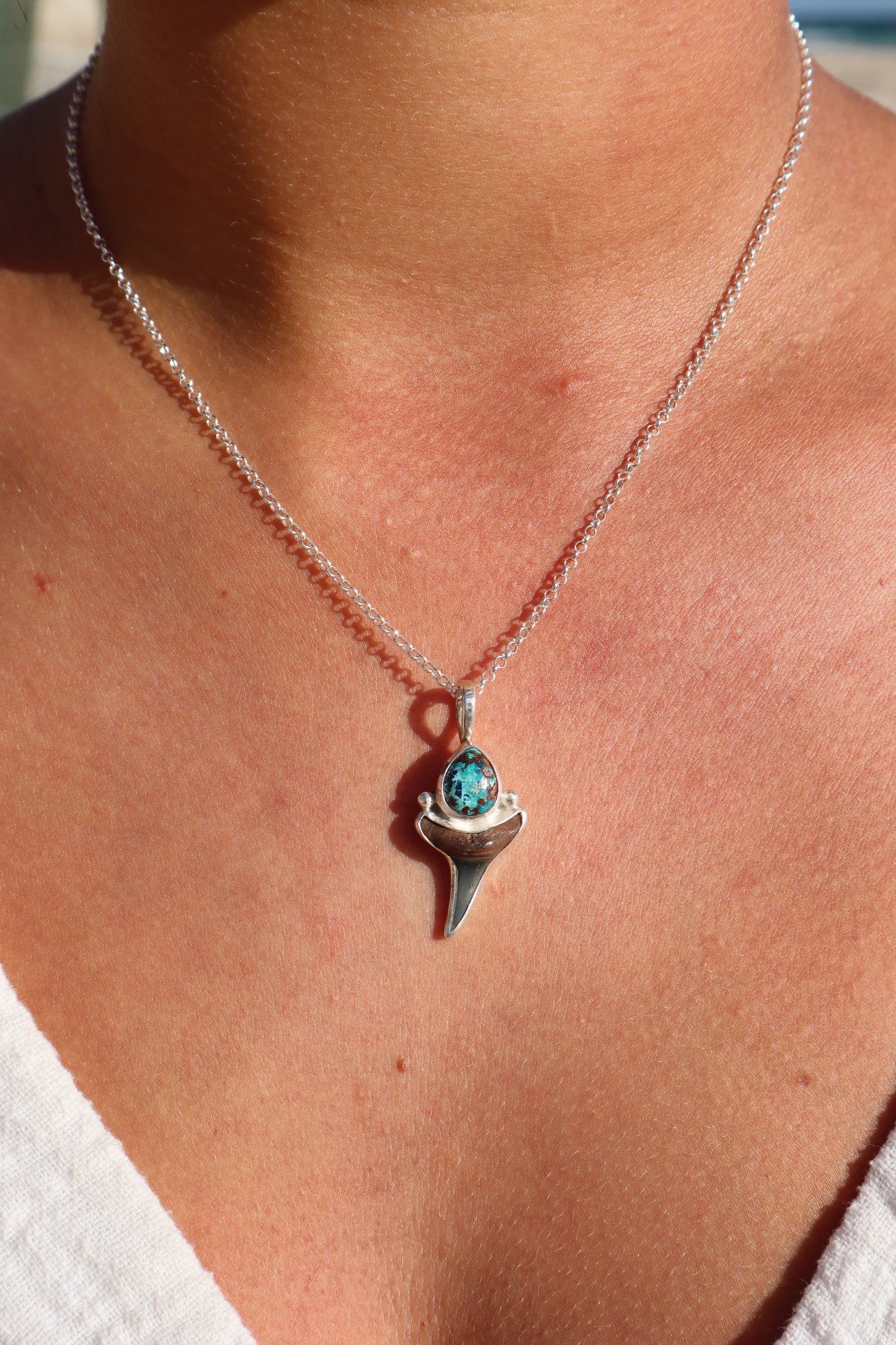 Shattukite Azurite x Fossilised Shark Tooth Pendant
