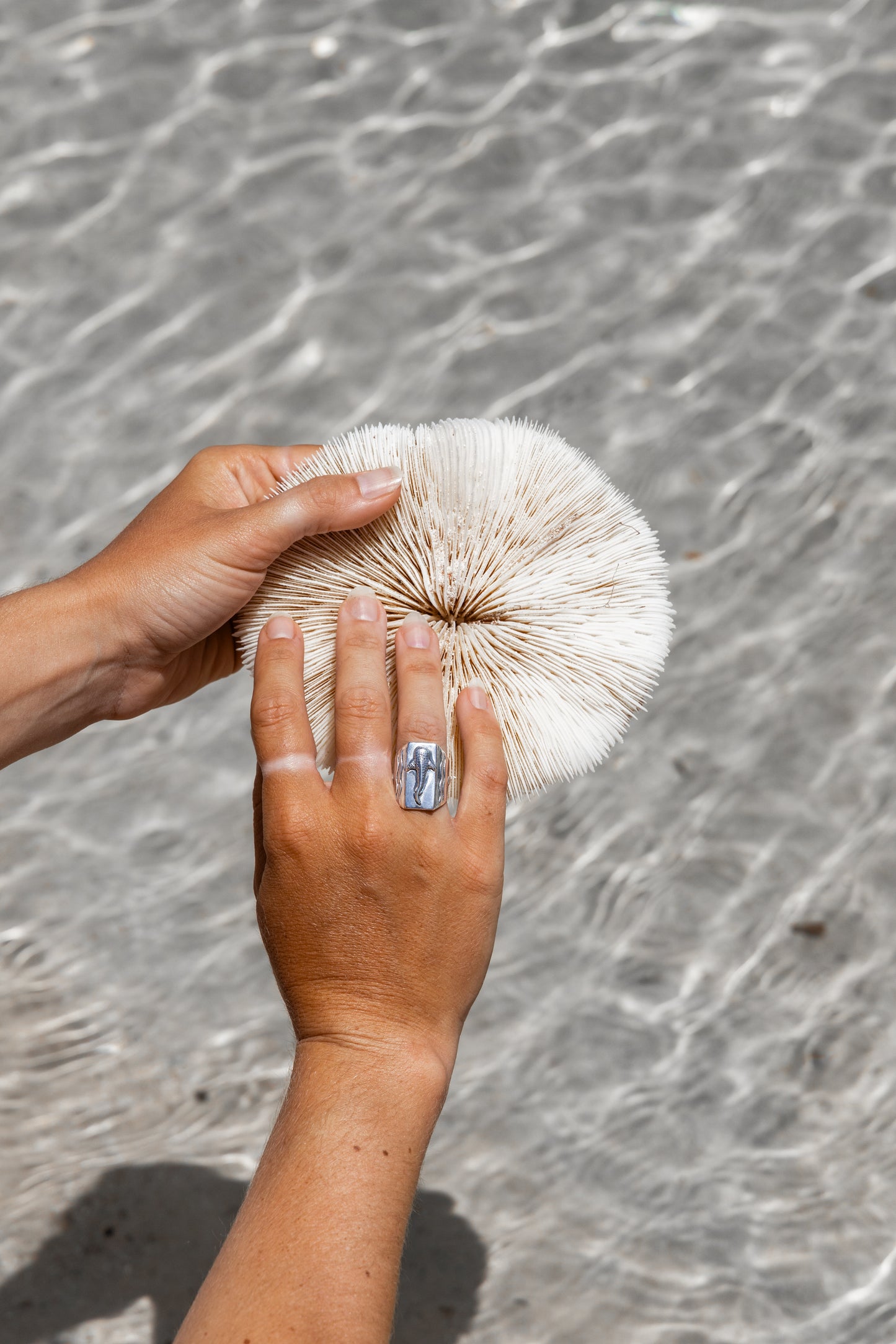 Chunky WhaleShark Ring