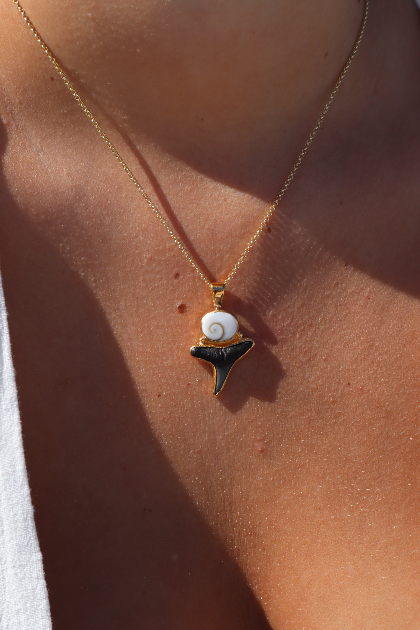 Operculum x Fossilised Shark Tooth Pendant