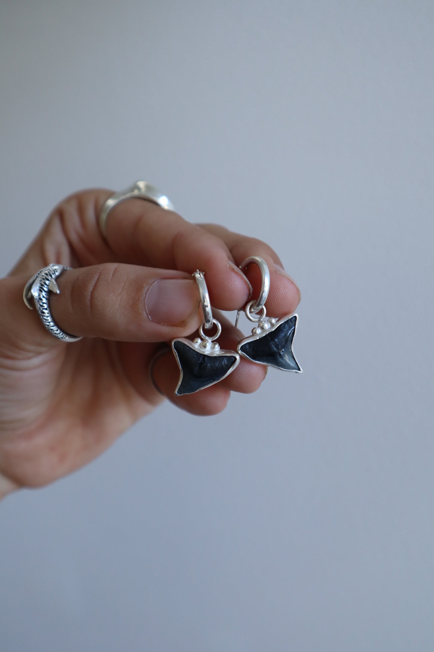 Fossilised Shark Tooth Hoops