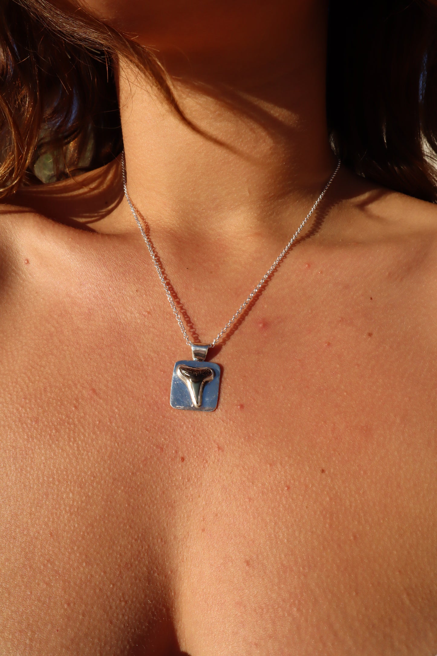 Shark Tooth Frame Pendant