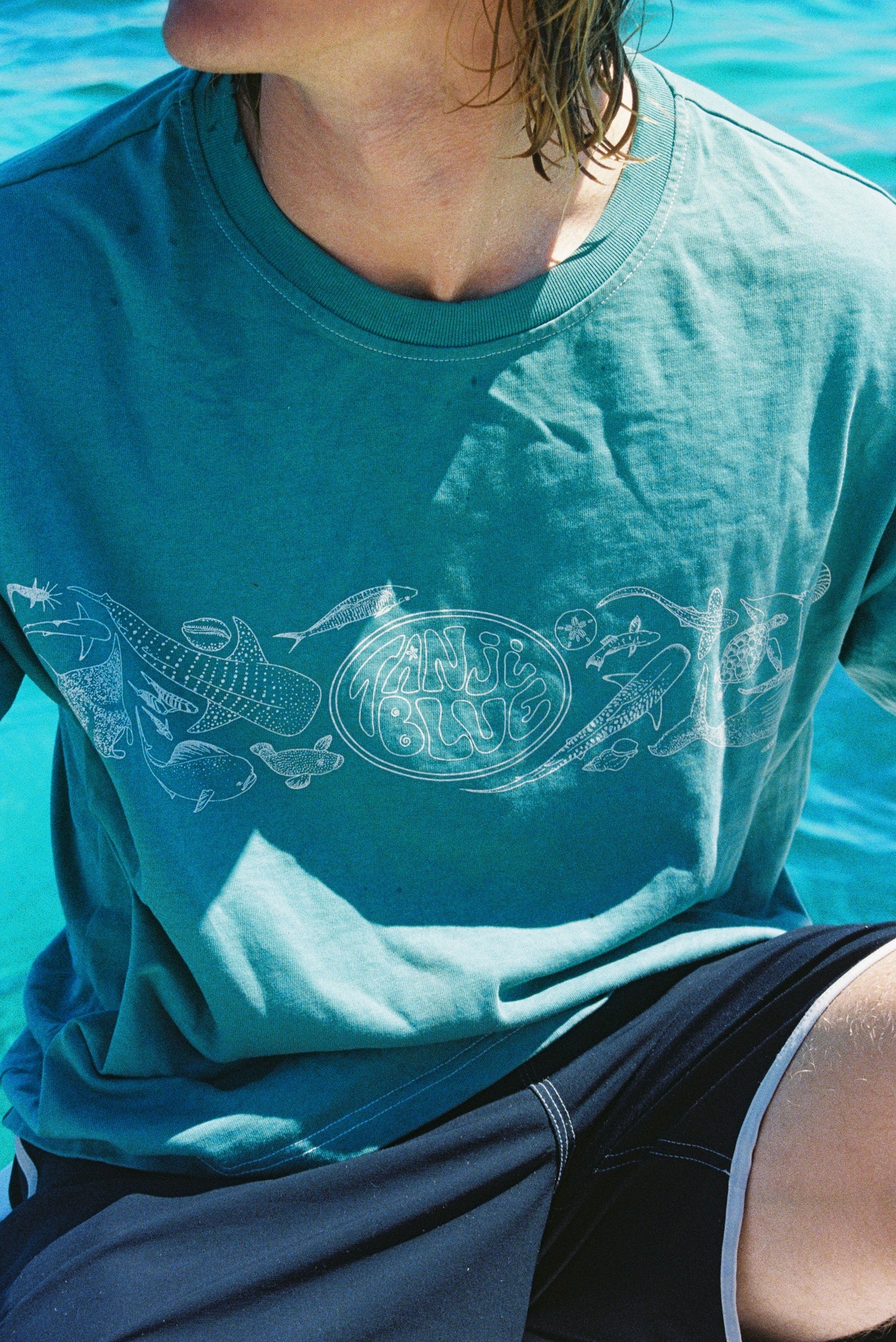 Ningaloo Tee - Teal