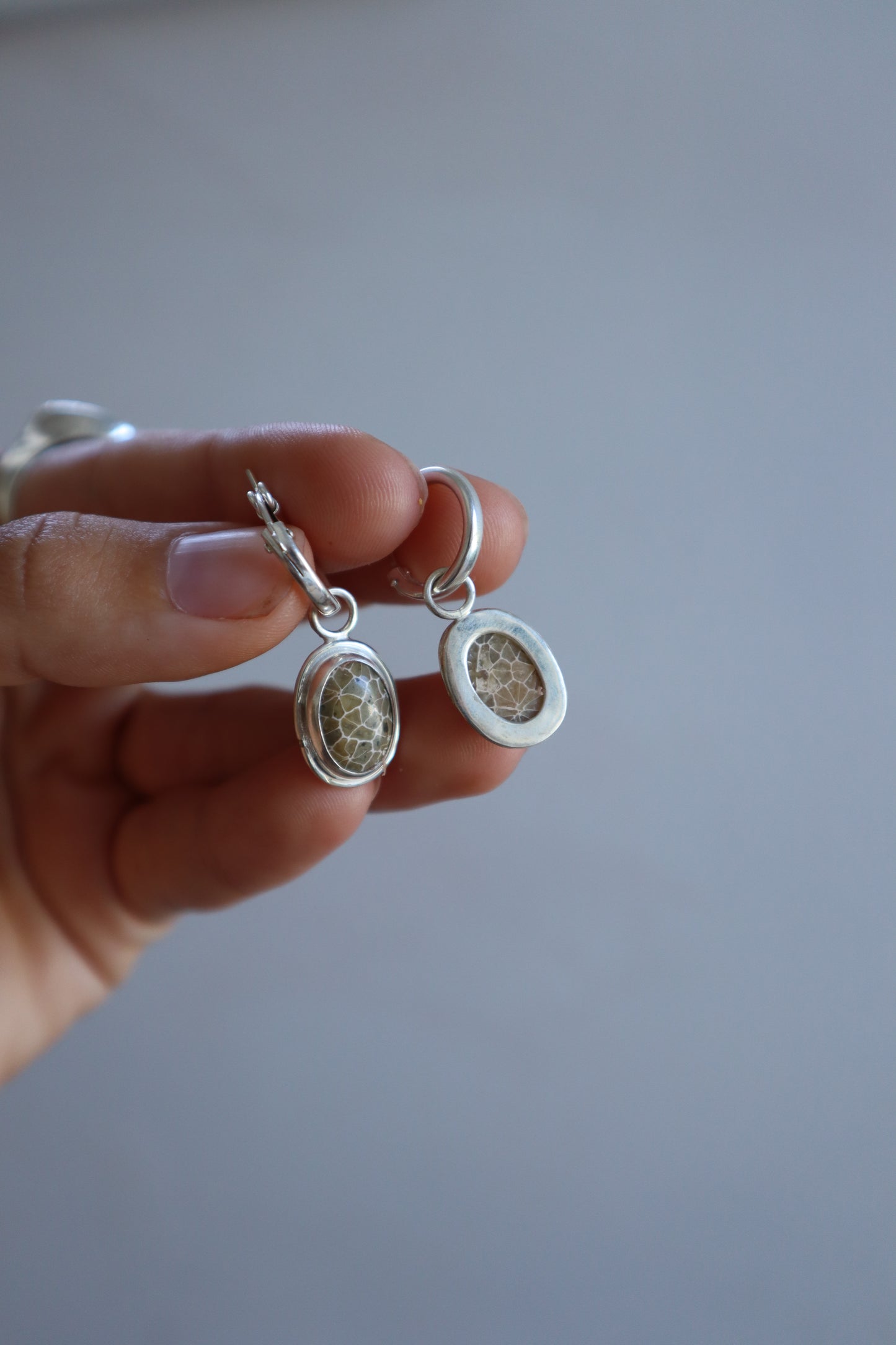 Fossilised Coral Hoops