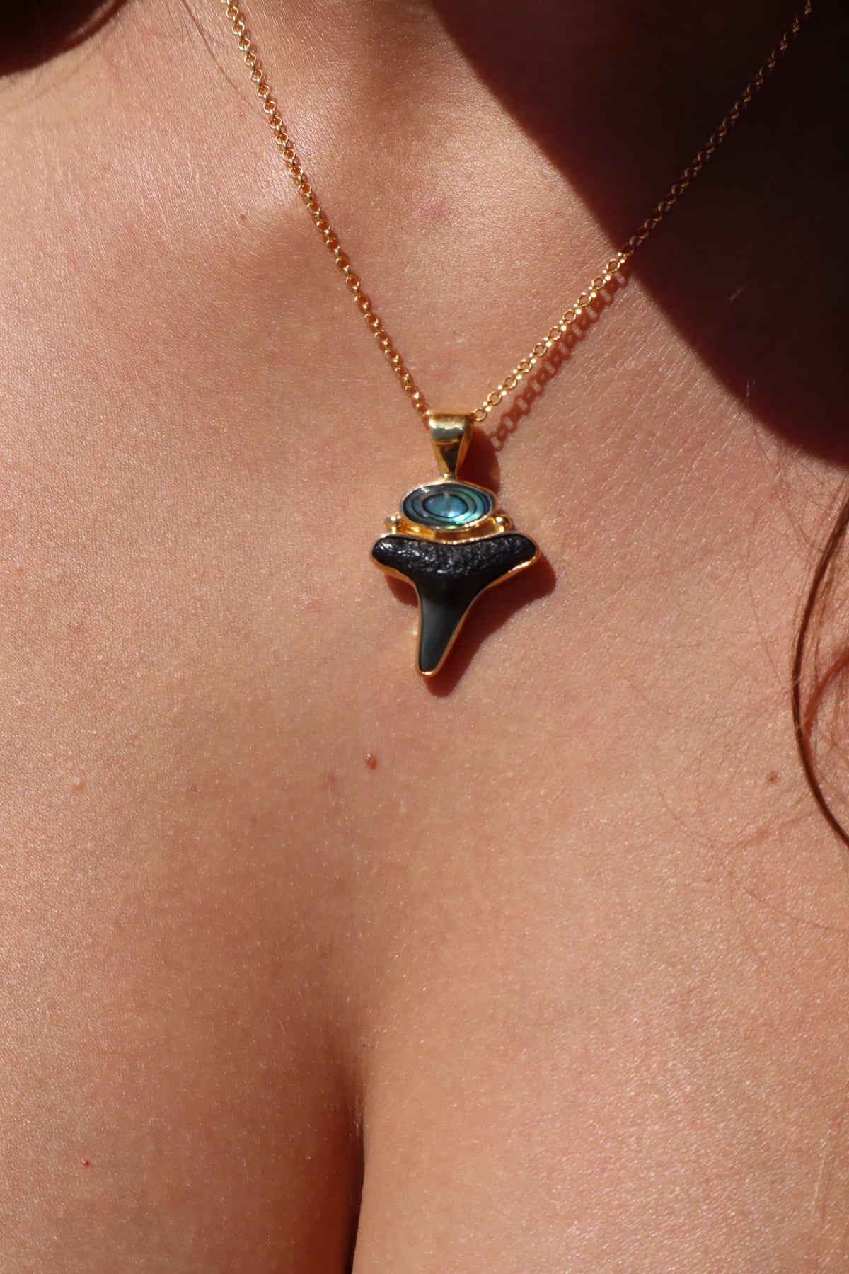 Abalone x Fossilised Shark Tooth Pendant