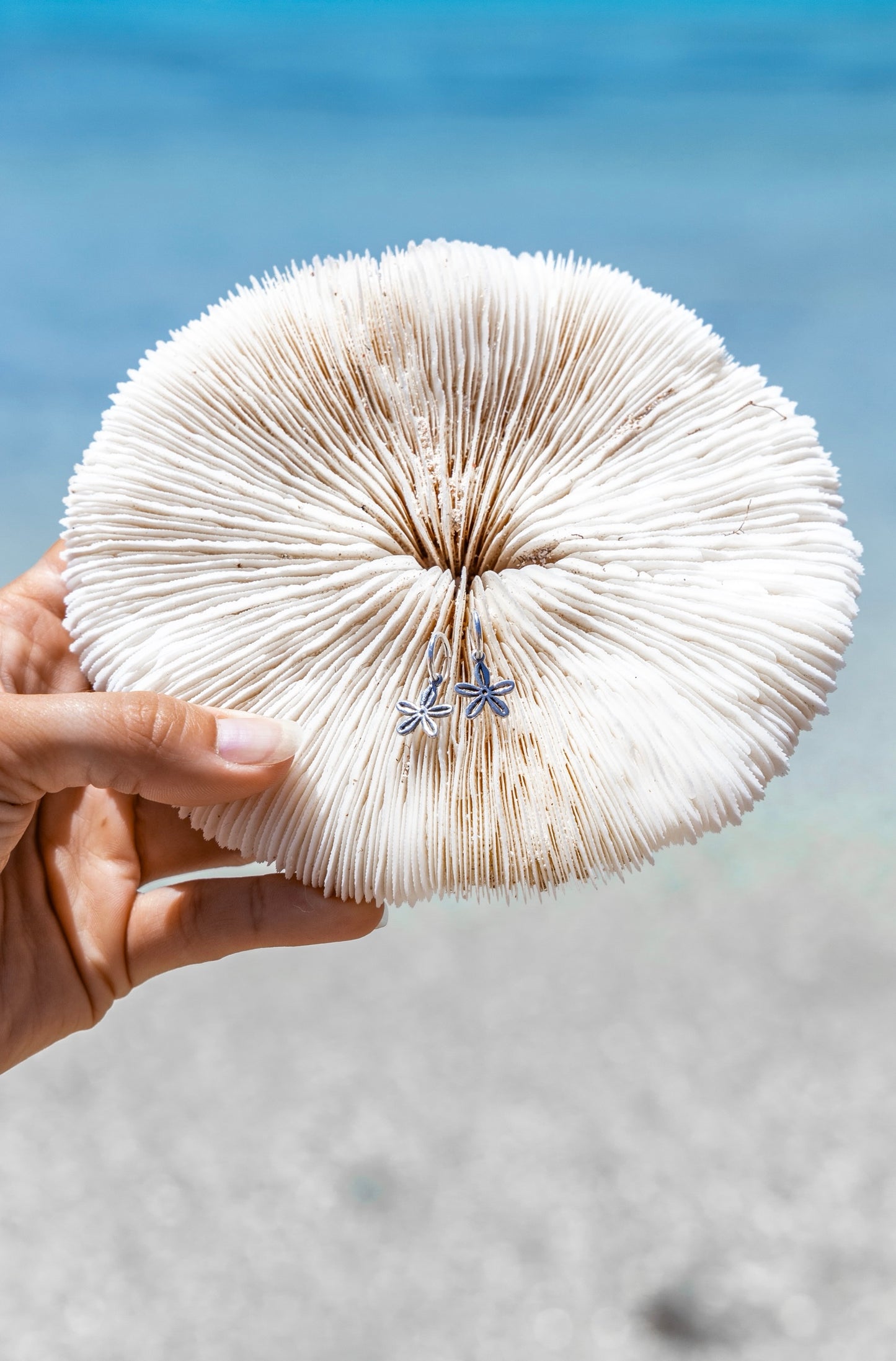 Tanji Sand Dollar Huggies