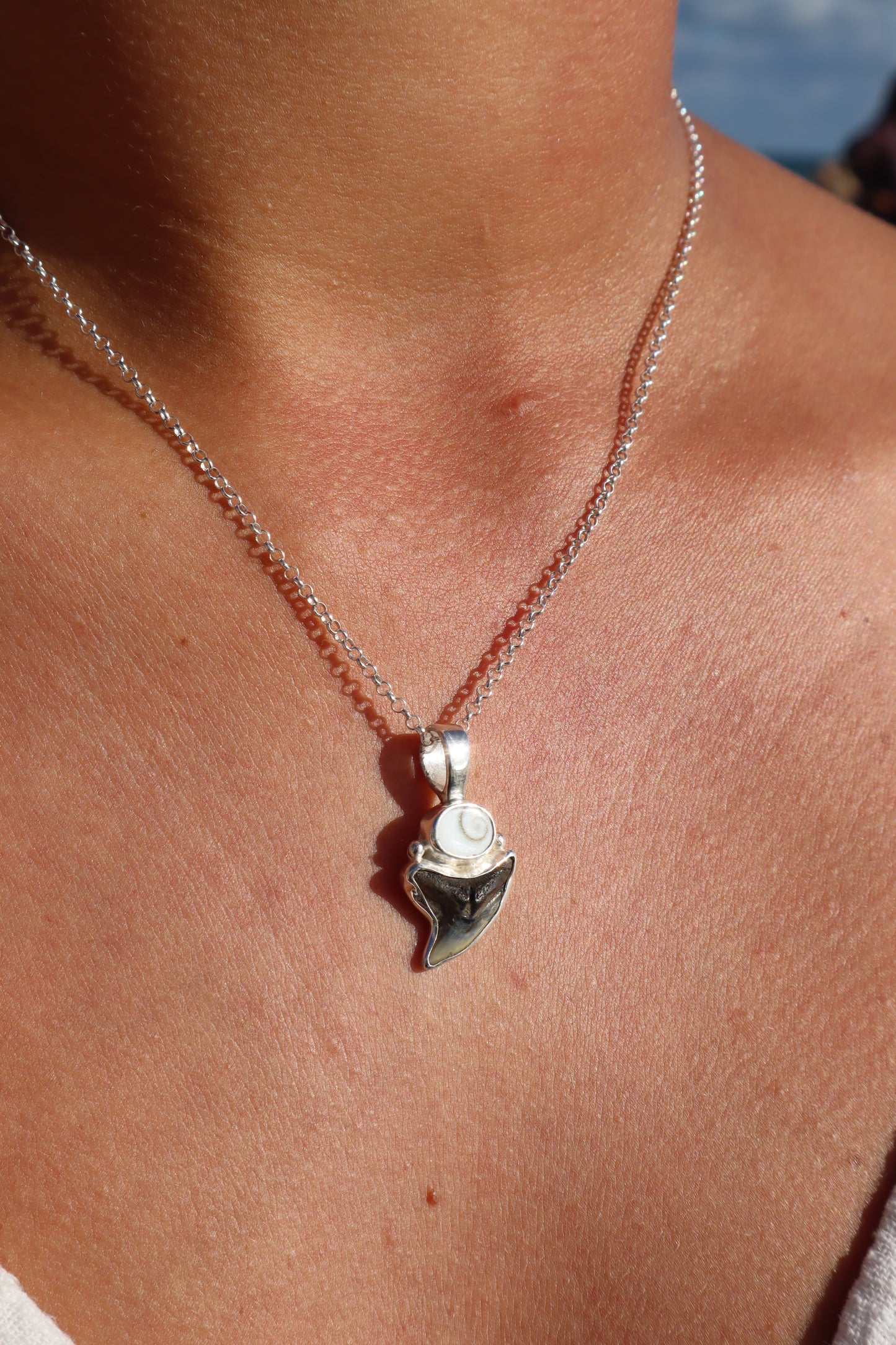Operculum x Fossilised Shark Tooth Pendant