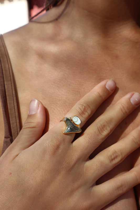 Operculum x Fossilised Shark Tooth Ring SIZE 8