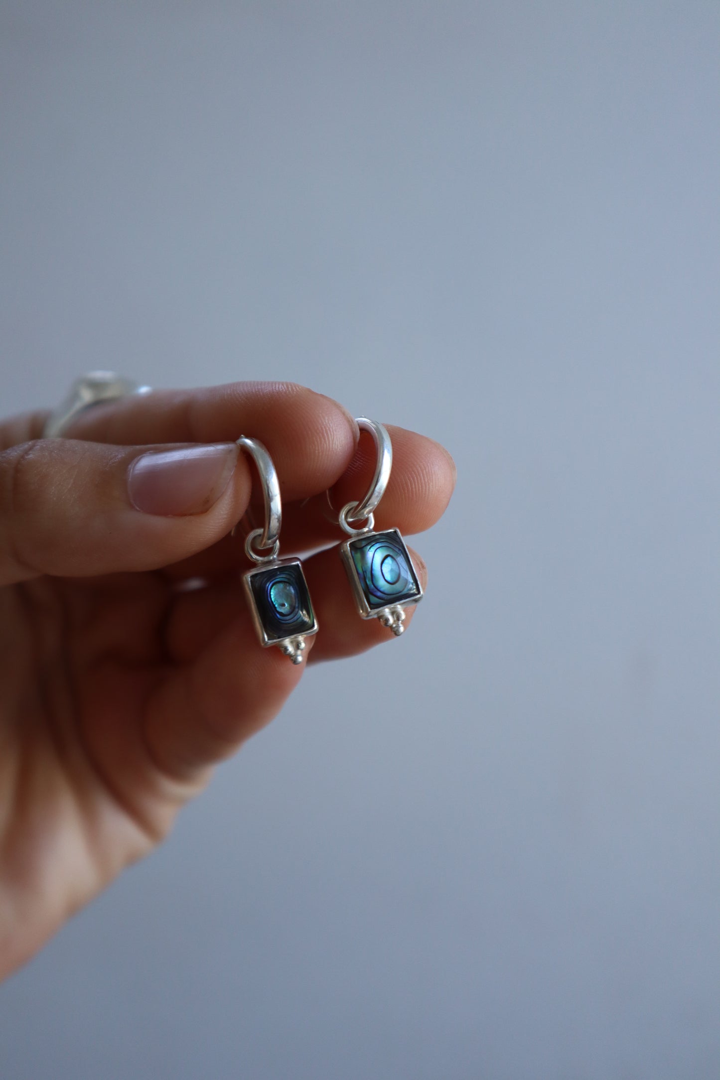 Abalone Hoops