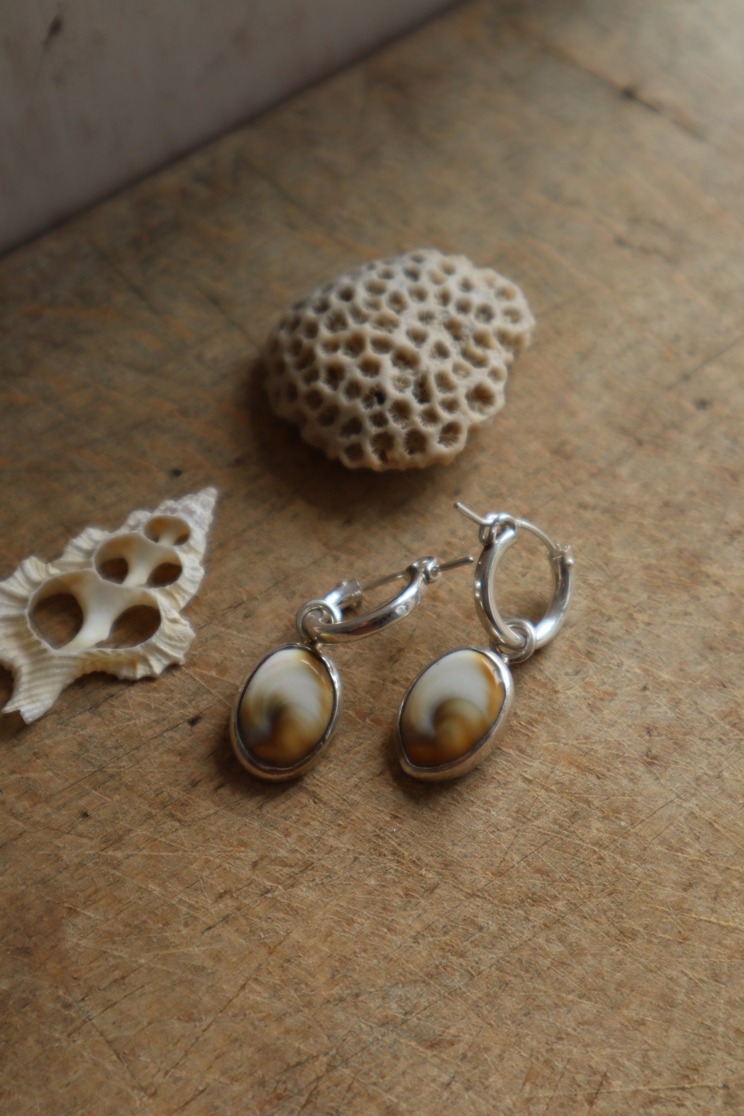 Reversible Operculum Hoops