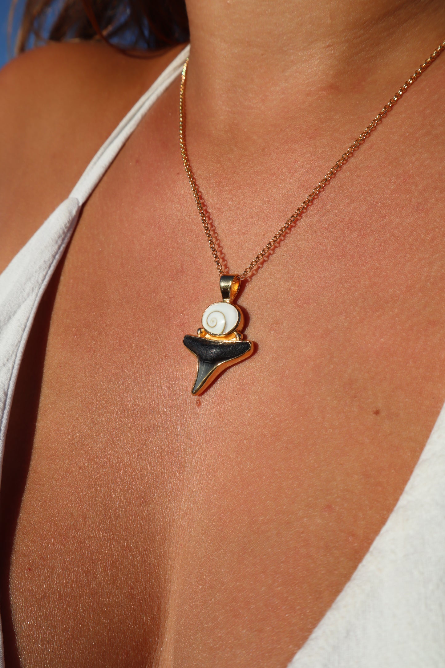 Operculum x Fossilised Shark Tooth Pendant