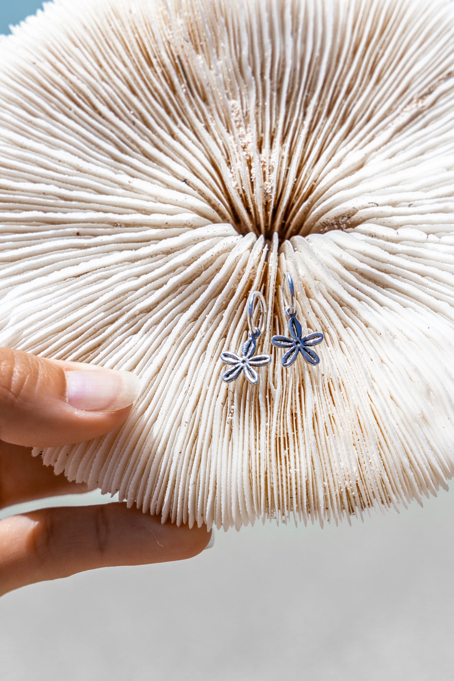 Tanji Sand Dollar Huggies