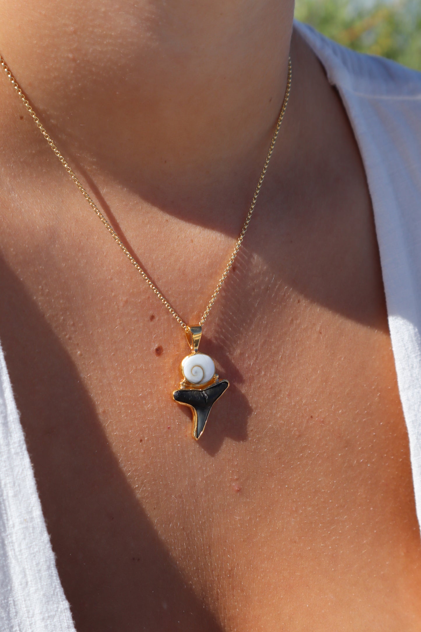 Operculum x Fossilised Shark Tooth Pendant