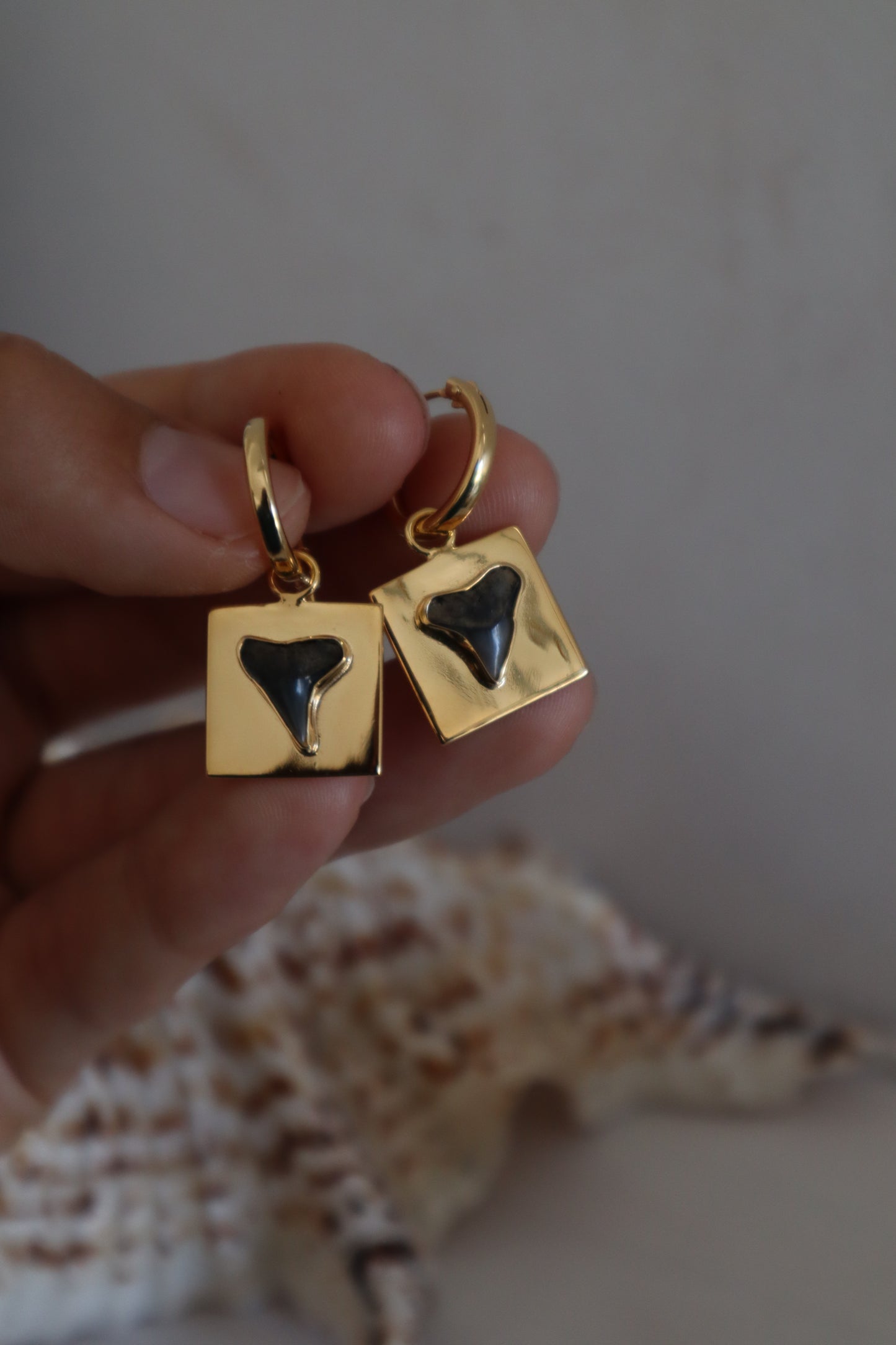 Shark Tooth Frame Earrings