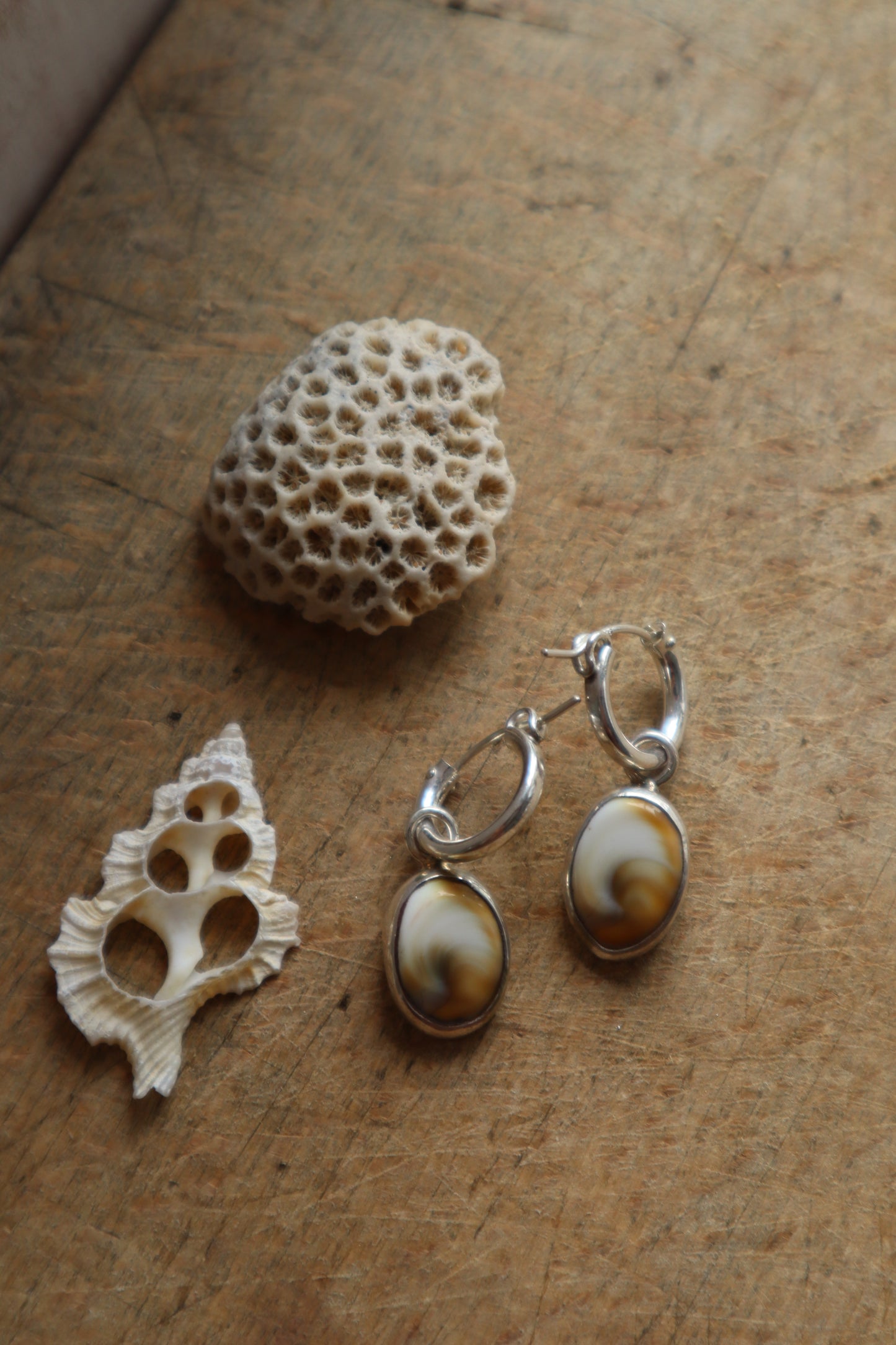 Reversible Operculum Hoops