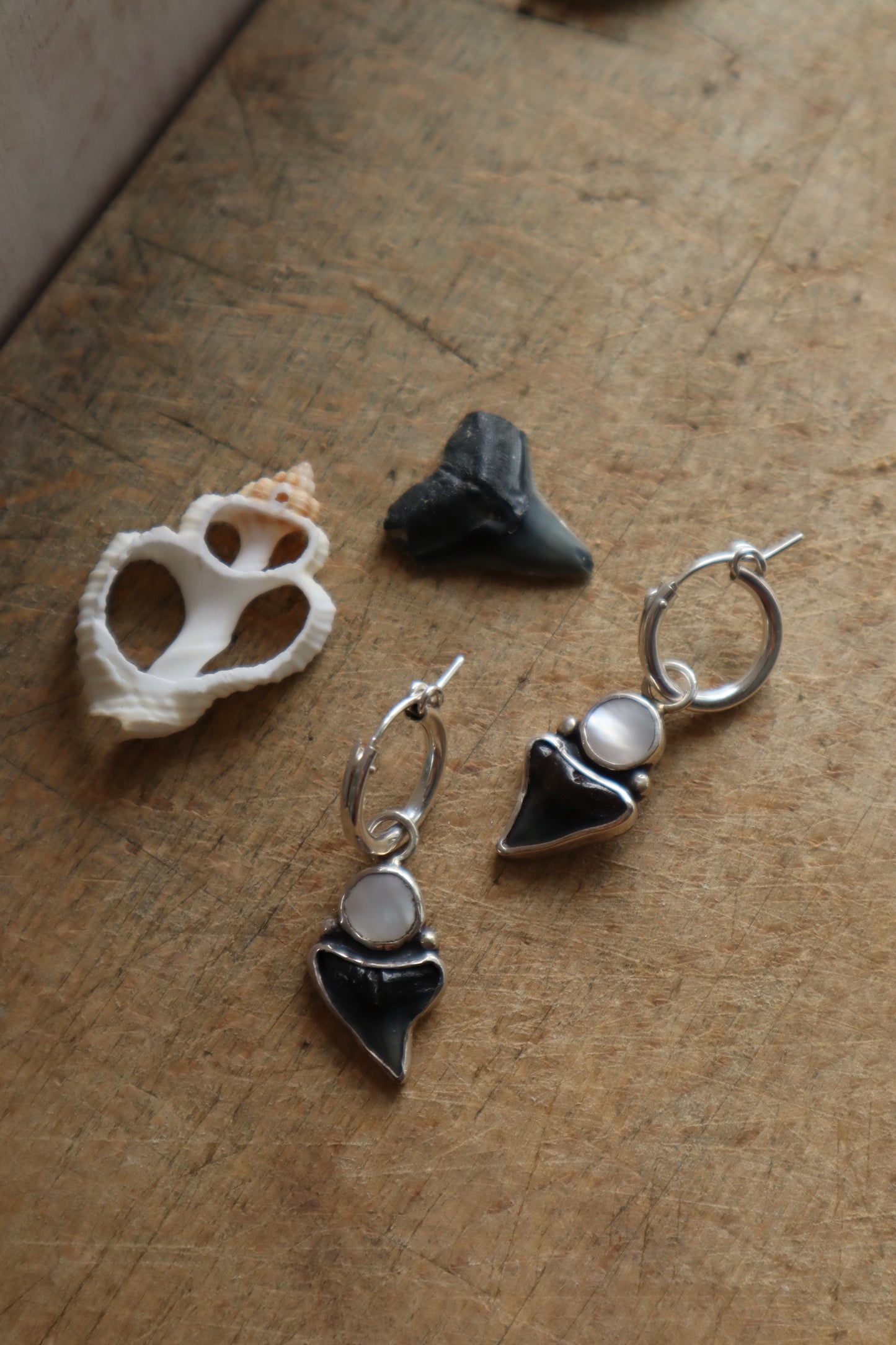 Pearly Shark Tooth Earrings