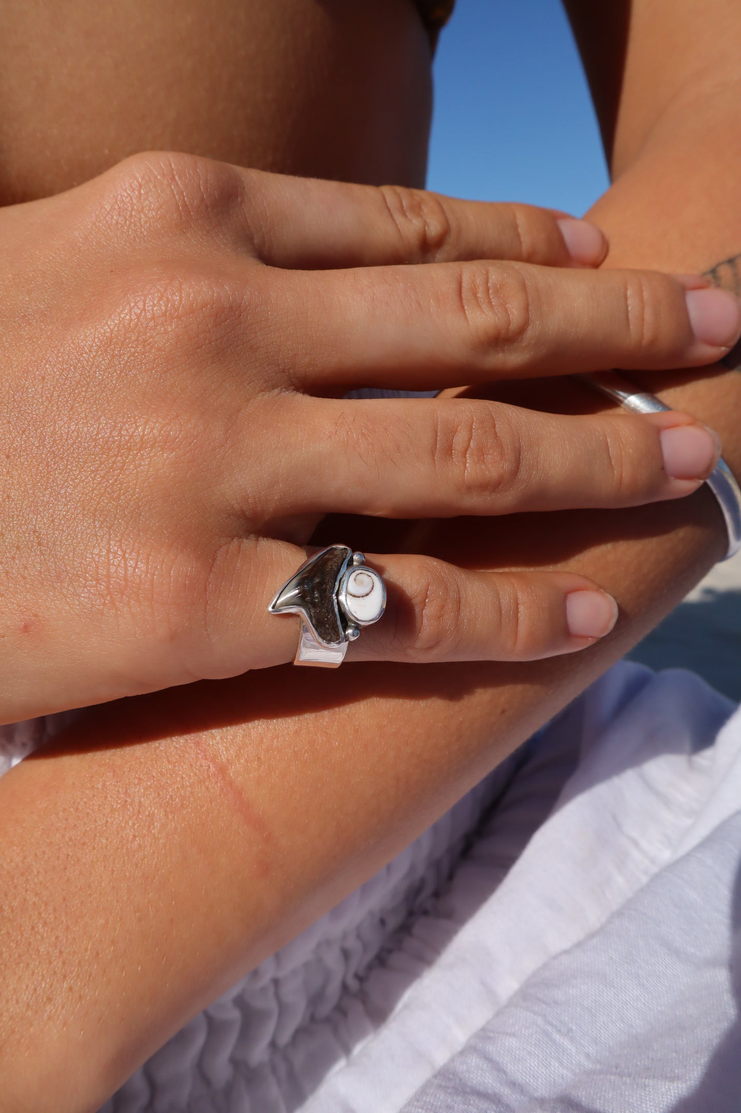 Shark Tooth x Operculum Ring SIZE L - 5 3/4