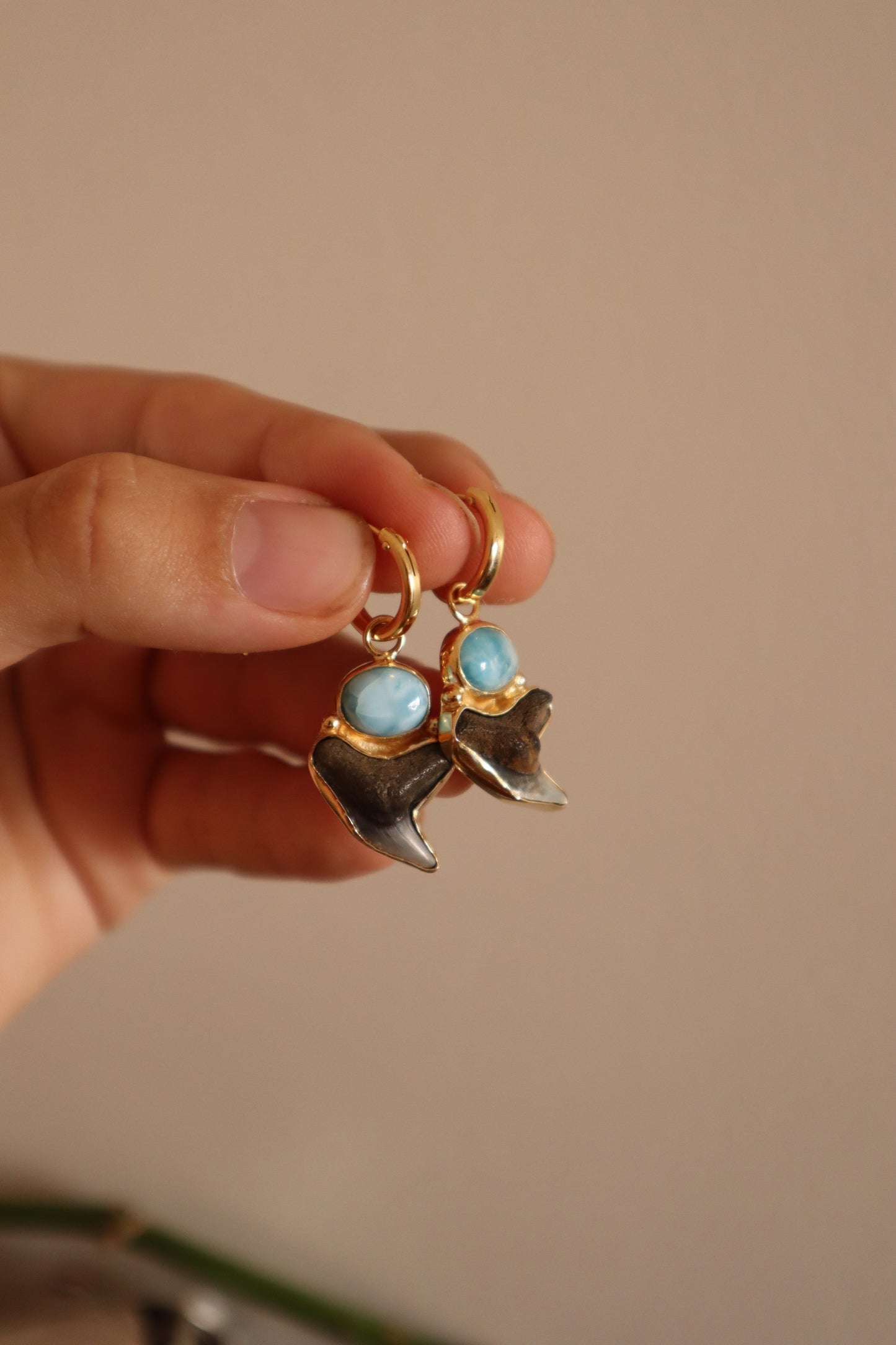 Shark Tooth x Larimar Hoops