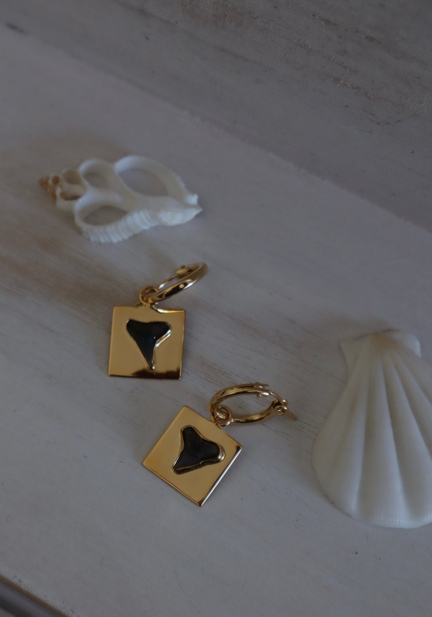 Shark Tooth Frame Earrings