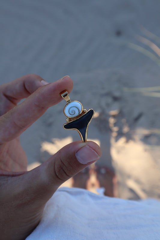 Operculum x Fossilised Shark Tooth Pendant