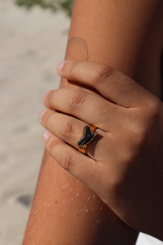 Fossilised Shark Tooth Ring SIZE 8 - P 1/2
